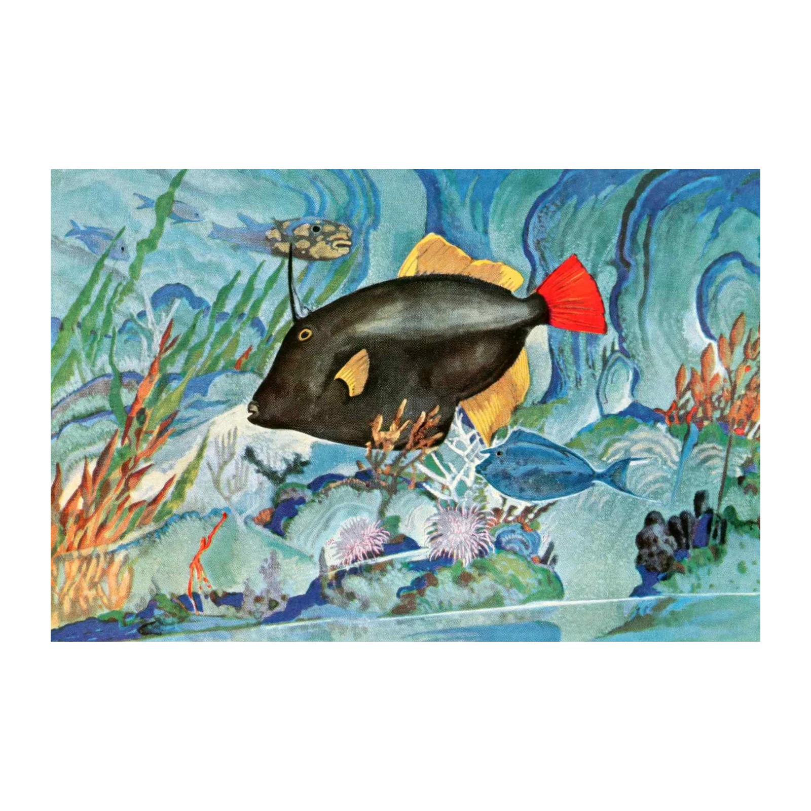 Vibrant Tropical Fish Tank Wall Art