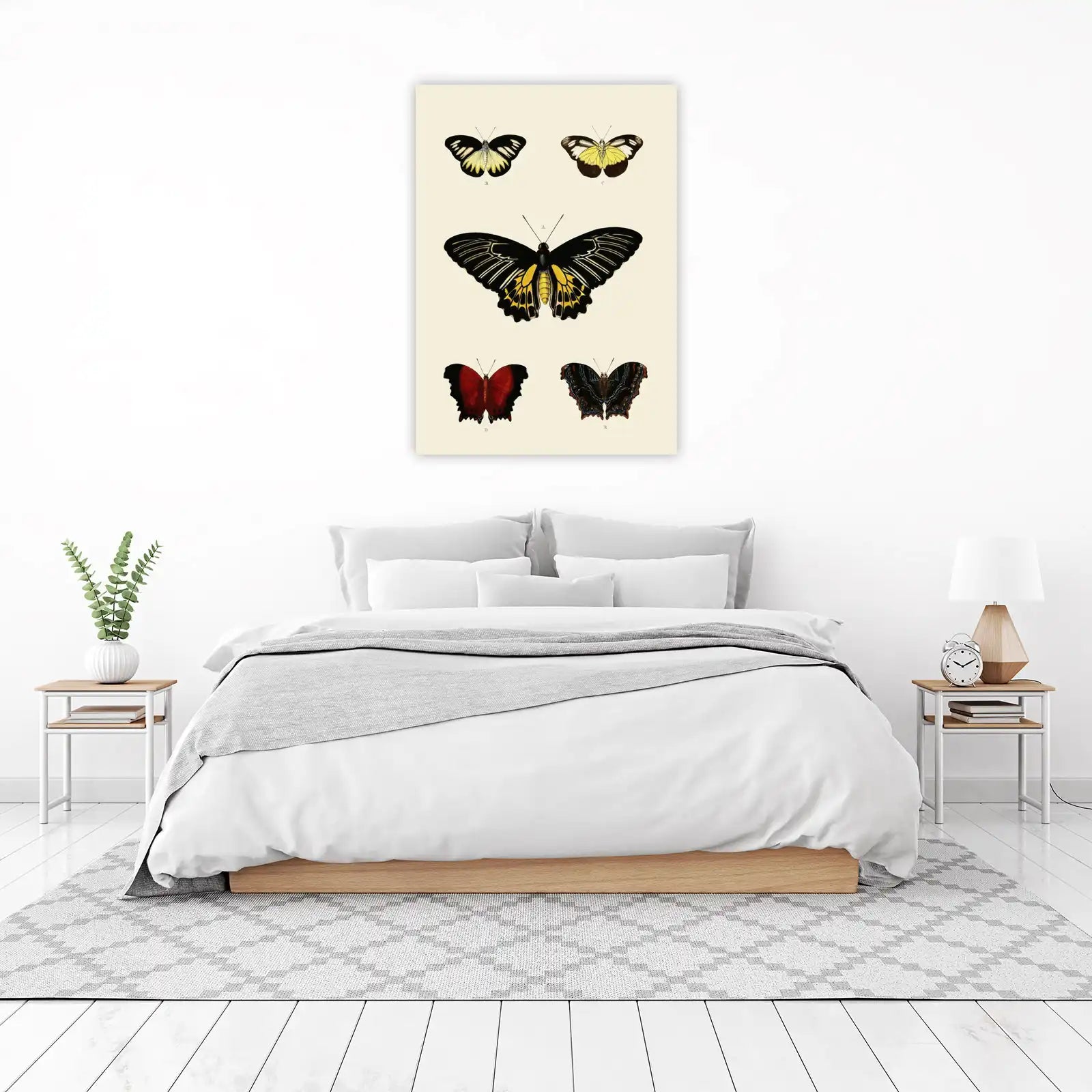 Vintage Butterfly Collection Wall Art