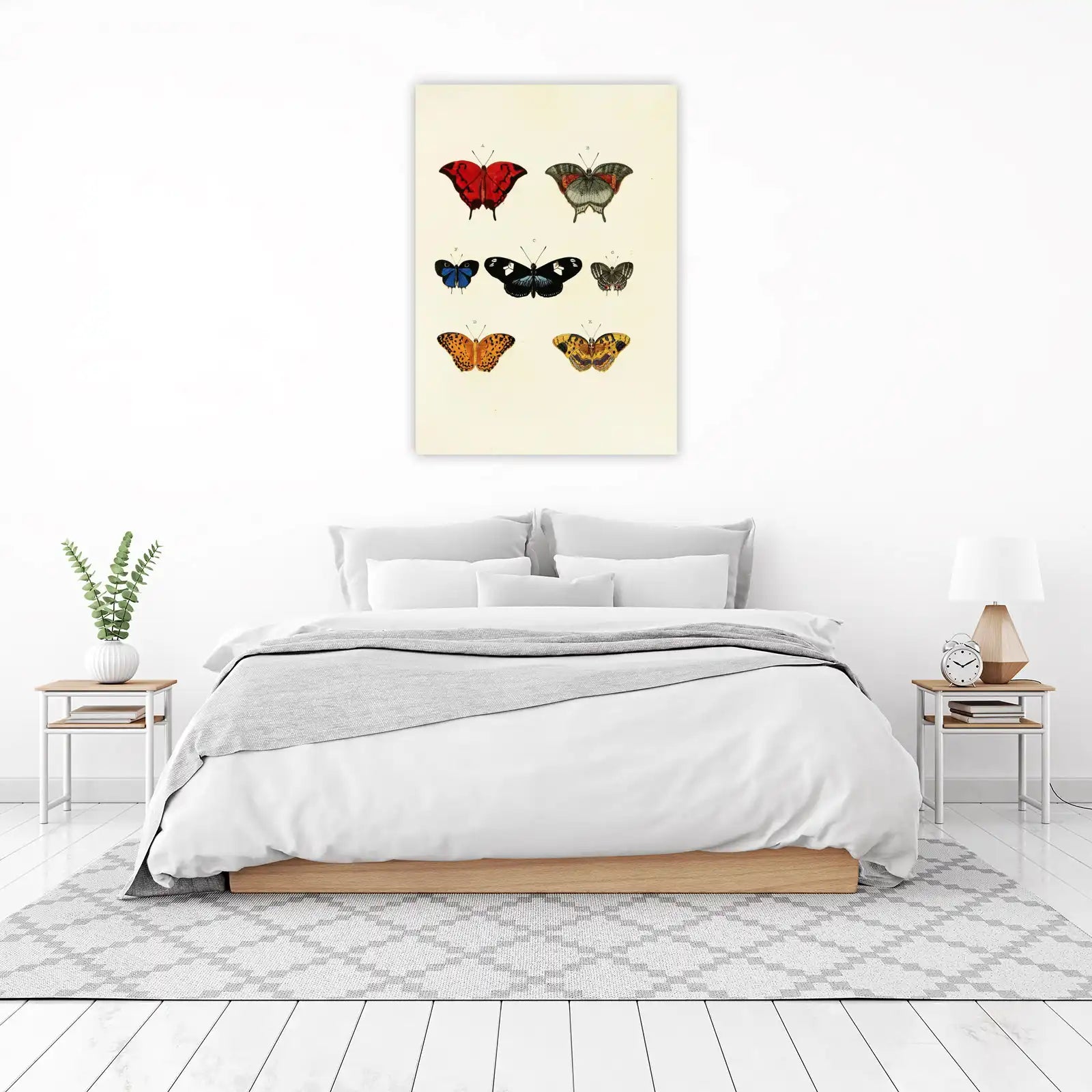 Vintage Butterfly Collection Wall Art