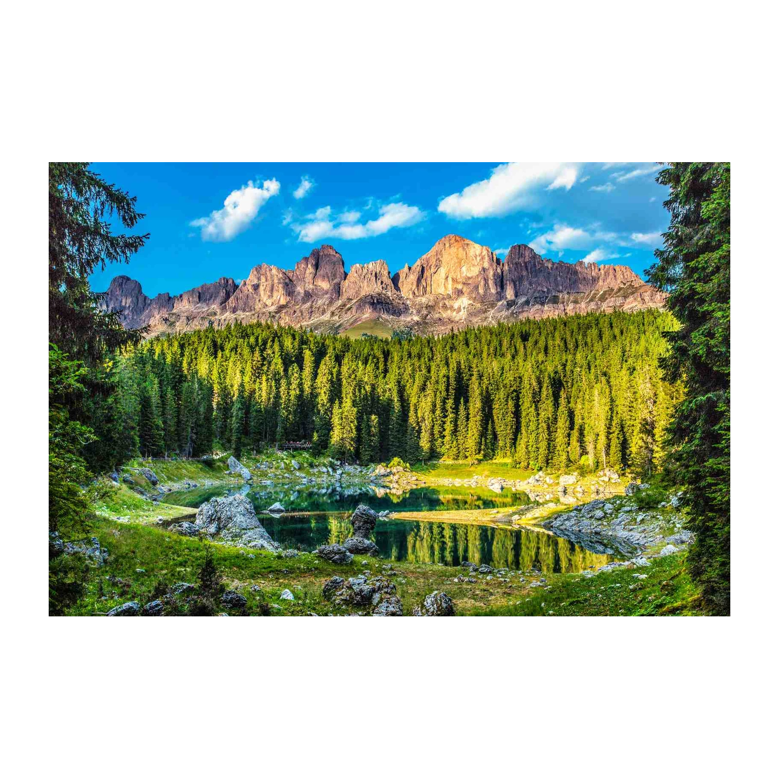 Serene Mountain Lake Alpine Forest Wall Art