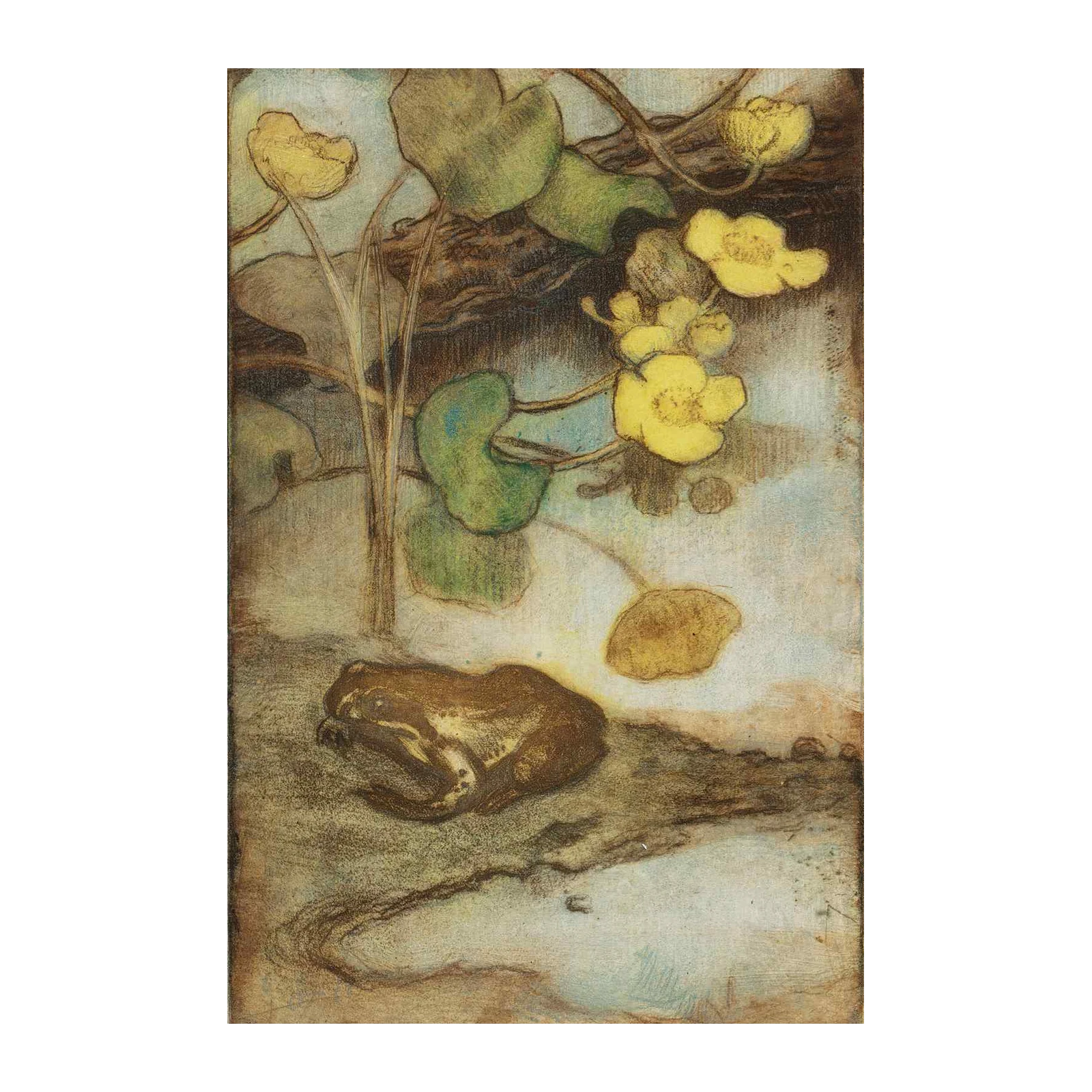 Serene Frog & Lily Pad Nature Wall Art