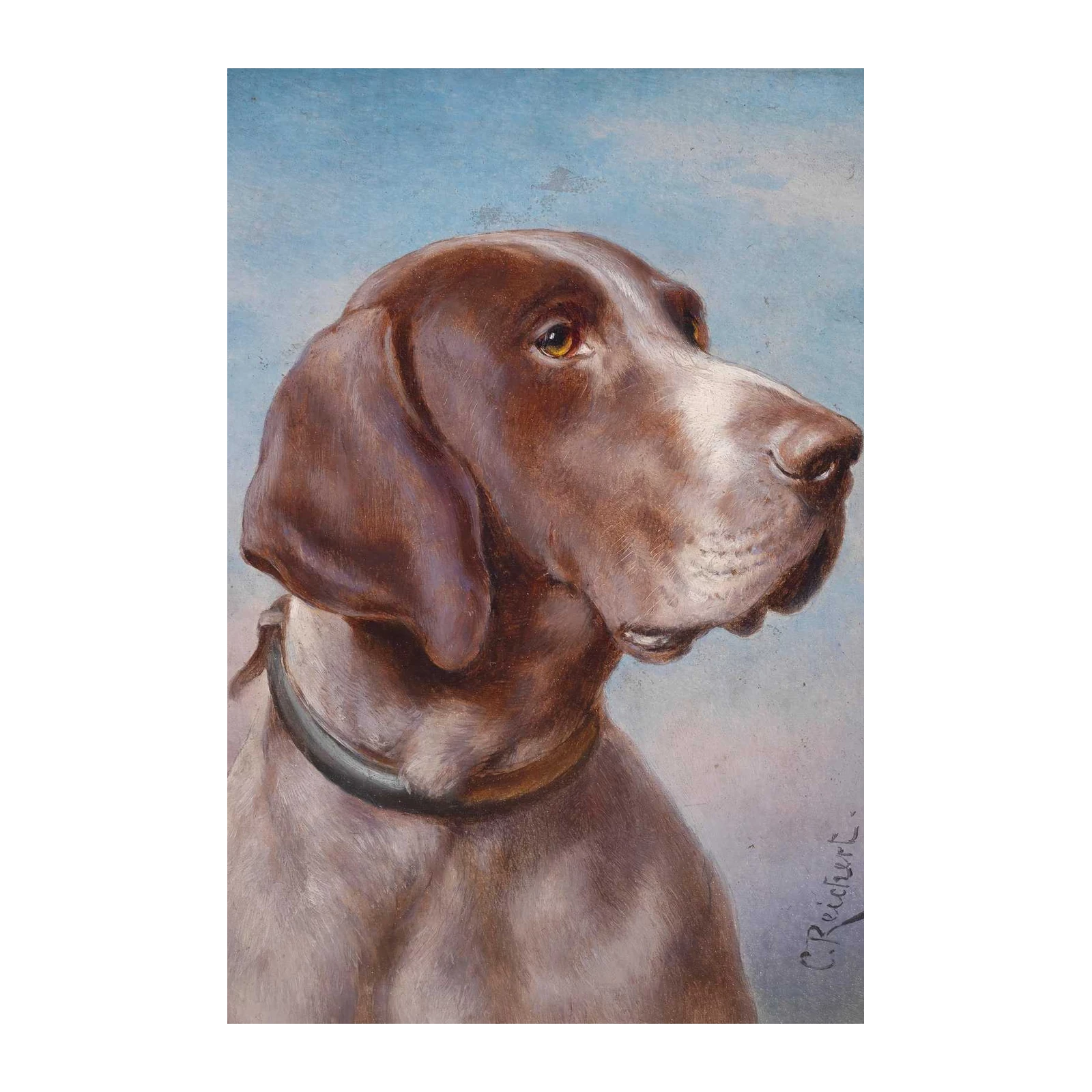Elegant German Shorthaired Pointer Portrait Wall Art