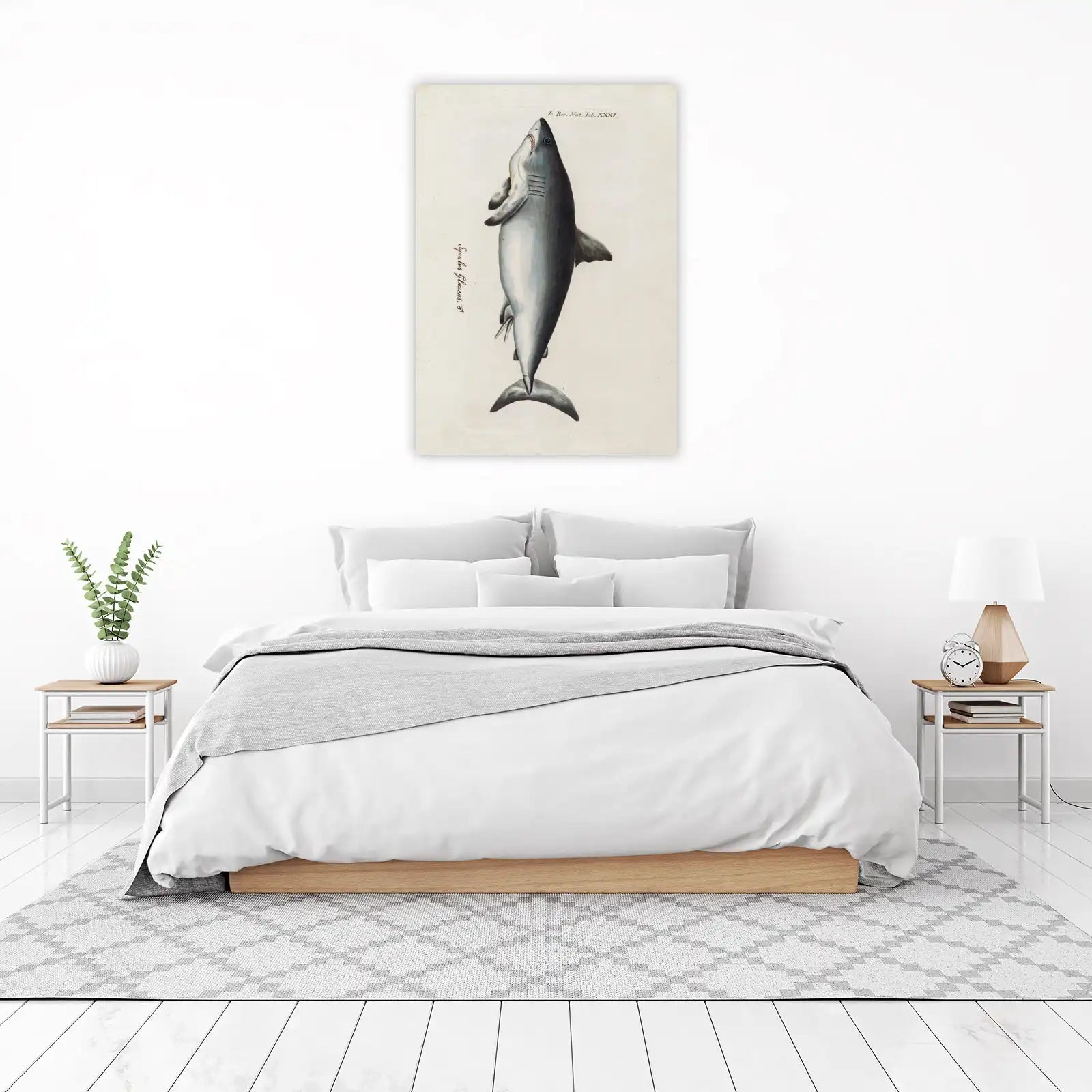 Vintage Shark Illustration Wall Art