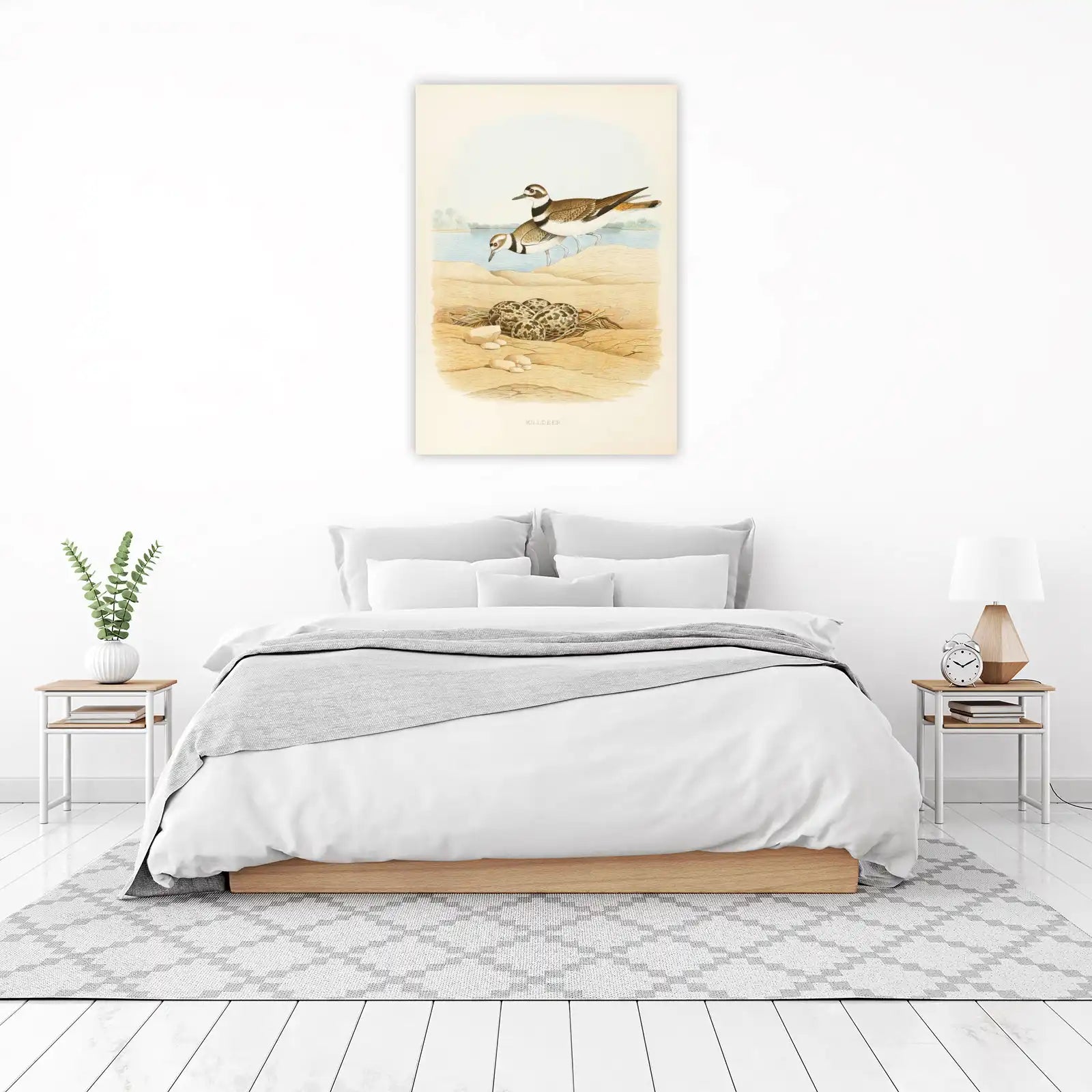 Killdeer Bird Nest Vintage Art Wall Art