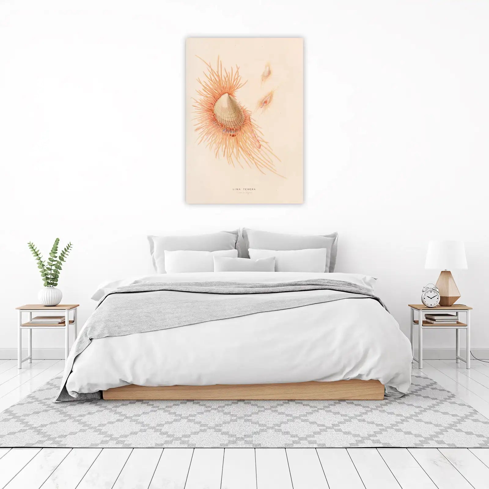 Exotic Lima Tenera Seashell Vintage Botanical Wall Art