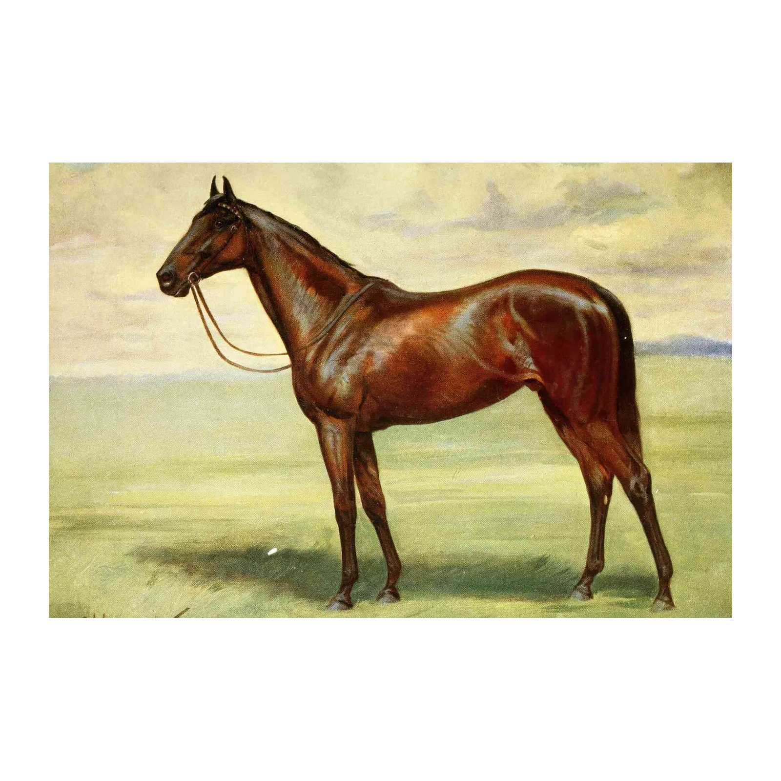 Majestic Chestnut Horse Portrait Wall Art