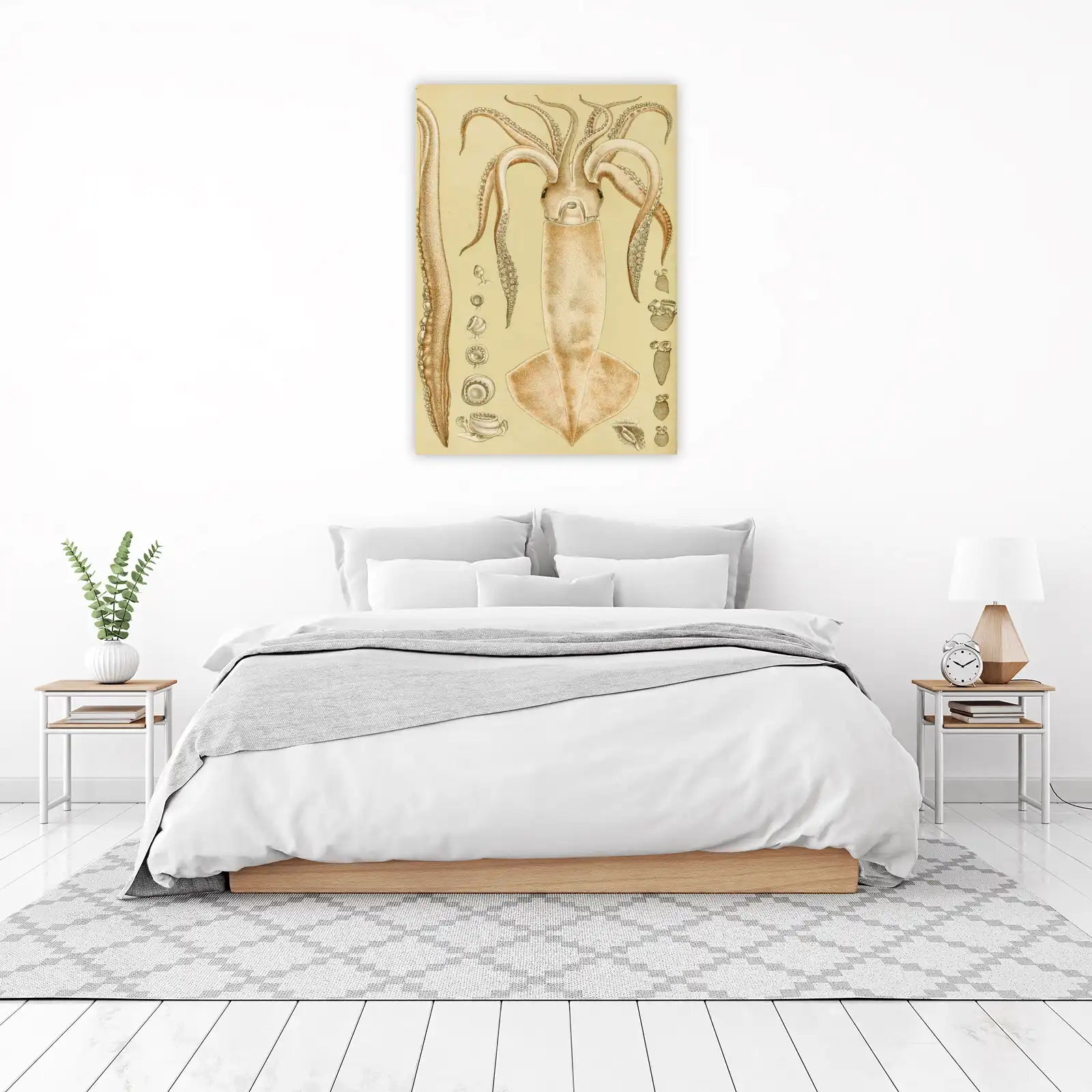 Vintage Squid Anatomy Wall Art