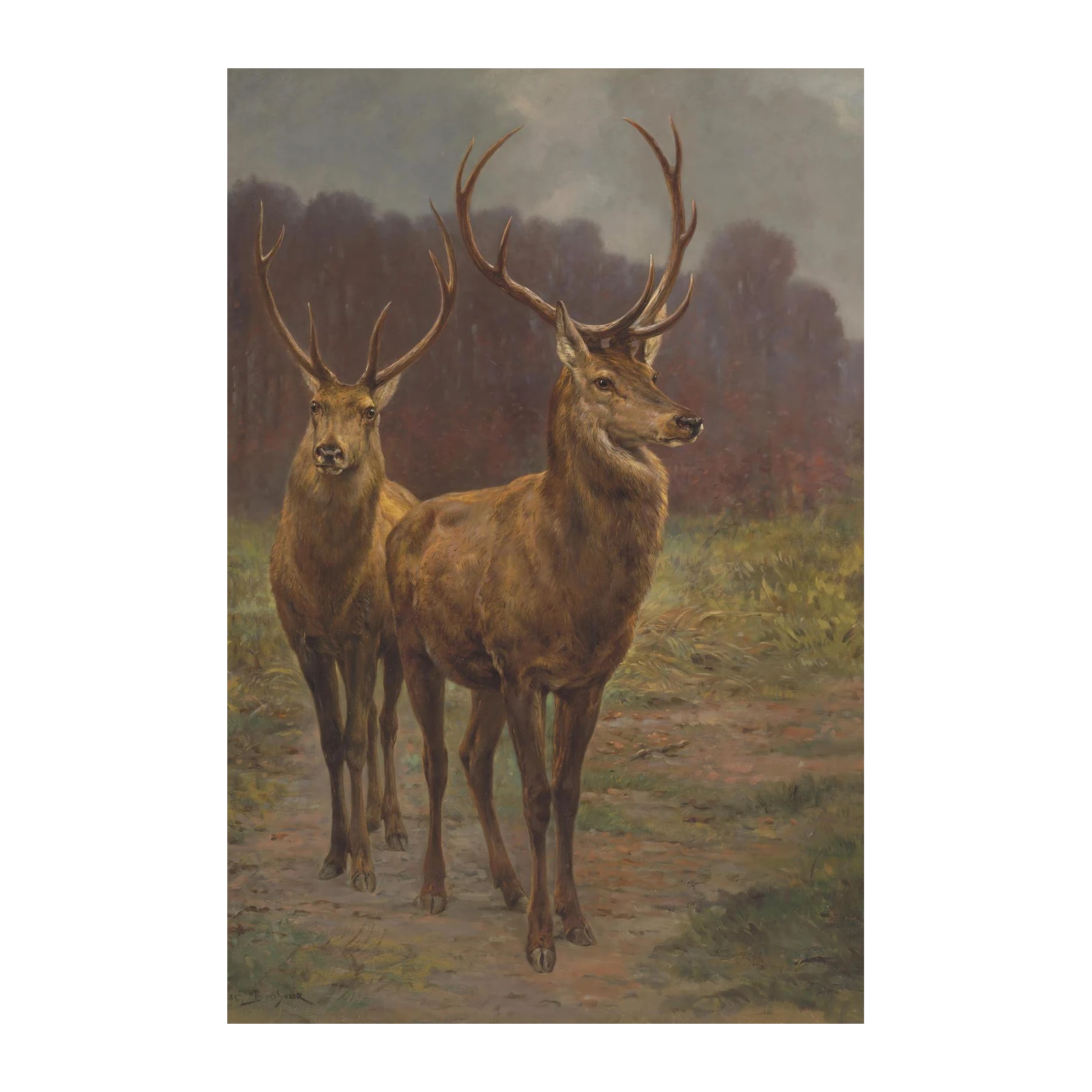 Majestic Stags Forest Wall Art