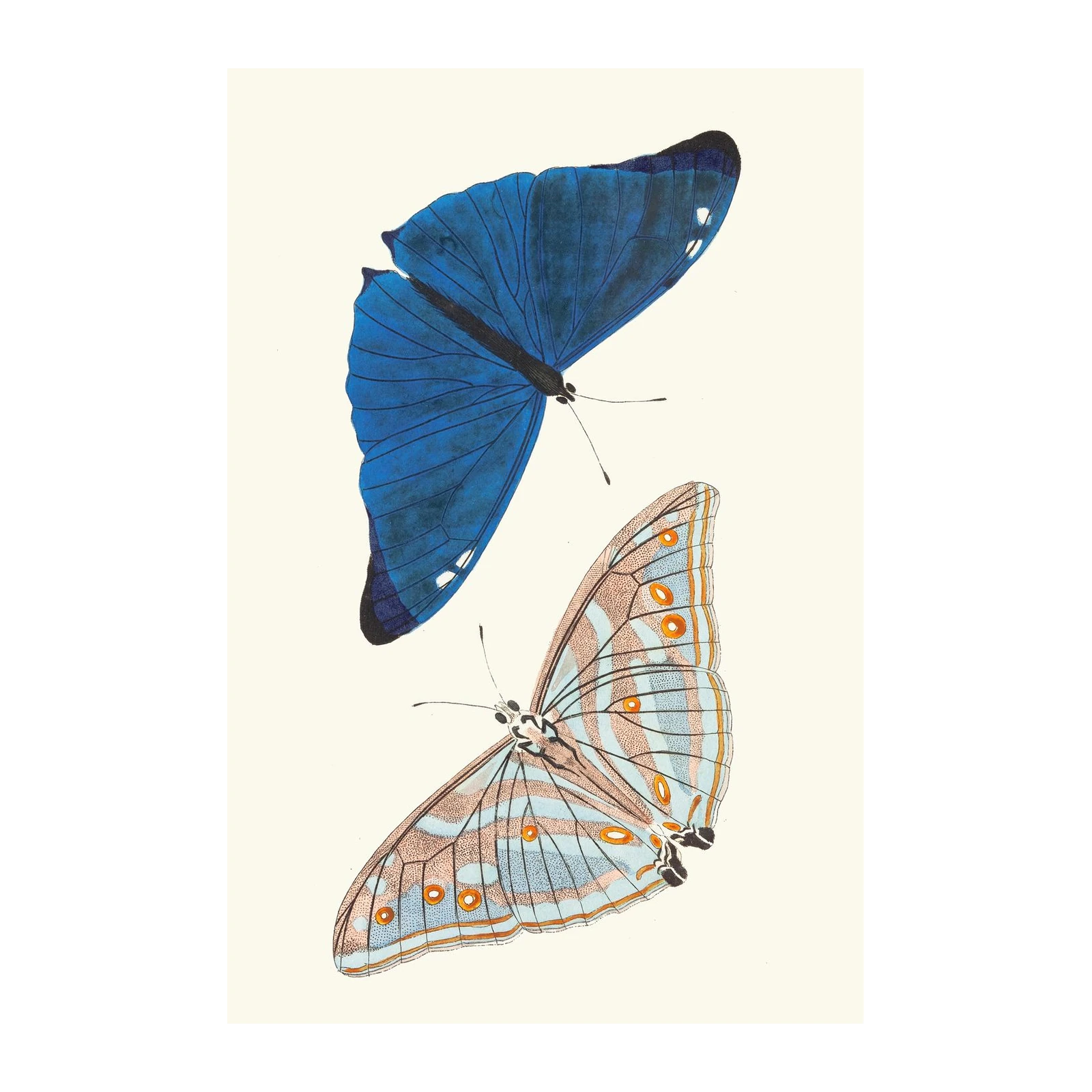 Vintage Butterfly Duo Blue & Pastel Wall Art