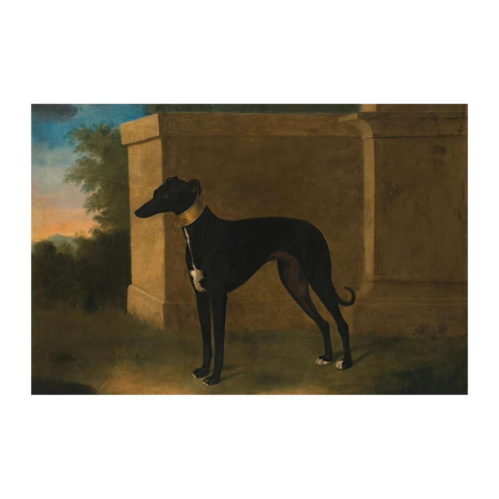 Elegant Black Greyhound Portrait Wall Art