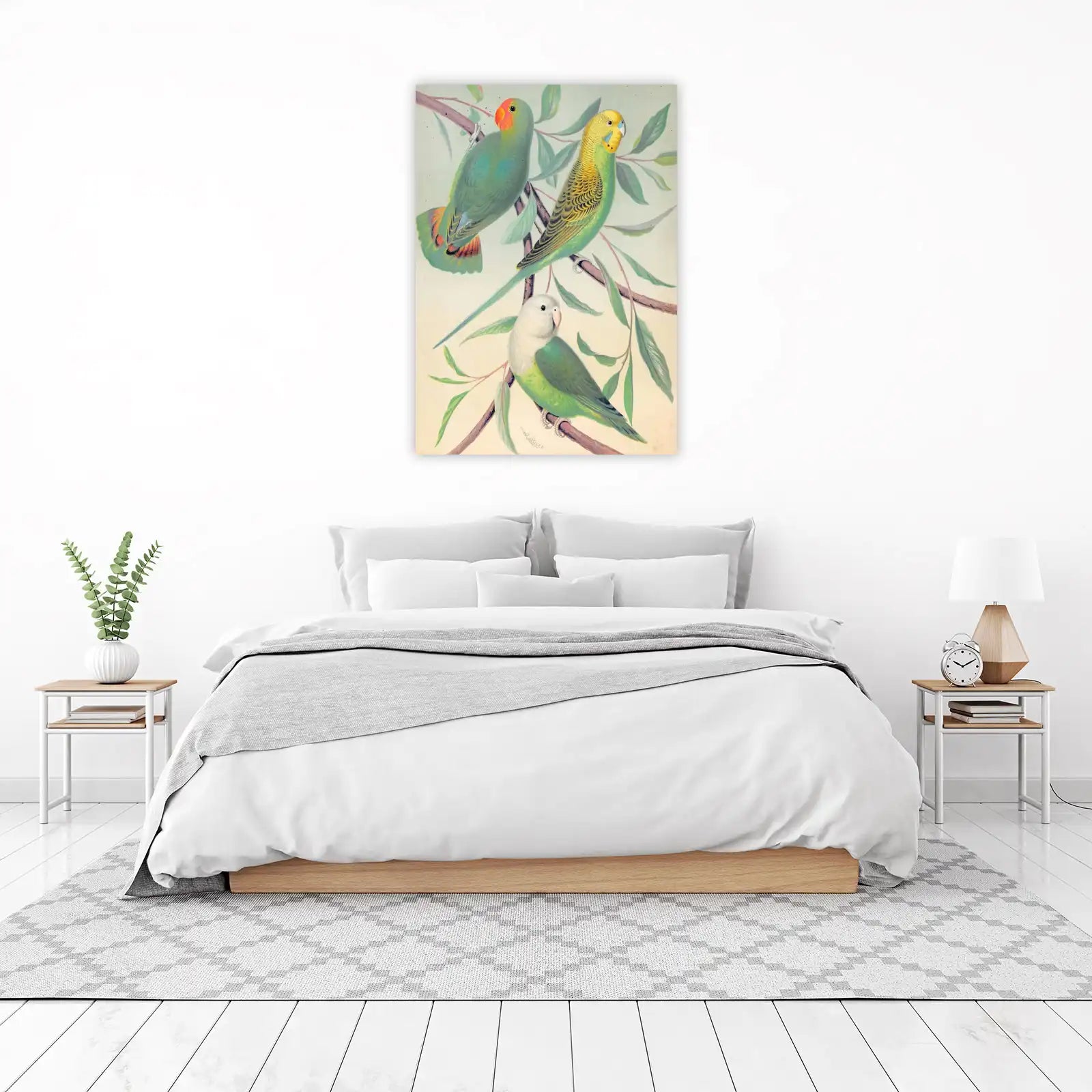 Vibrant Bird Collection Wall Art Wall Art