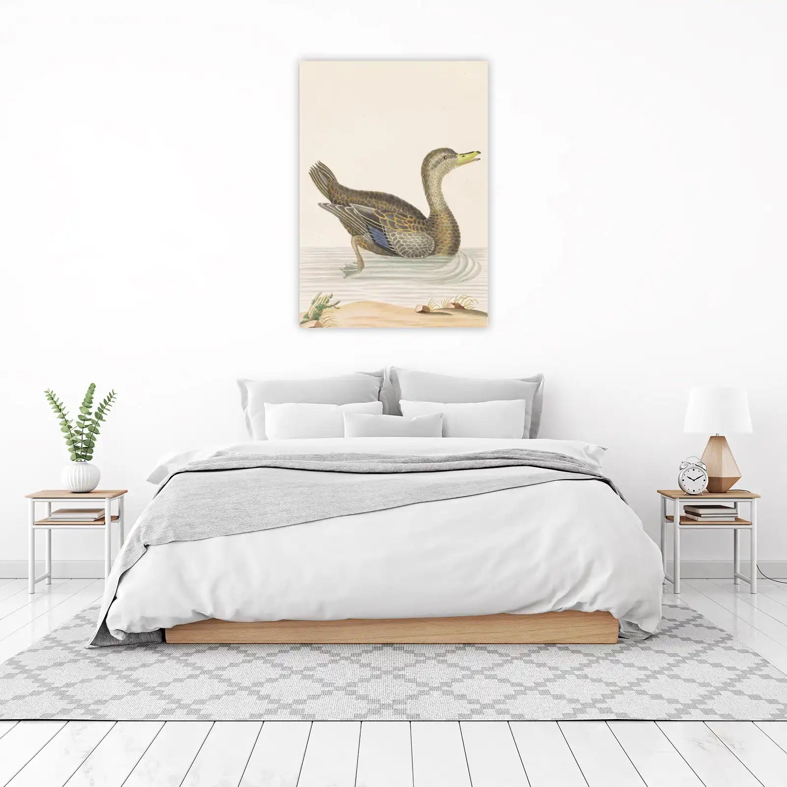 Elegant Duck in Water Wall Art - Wildlife Art