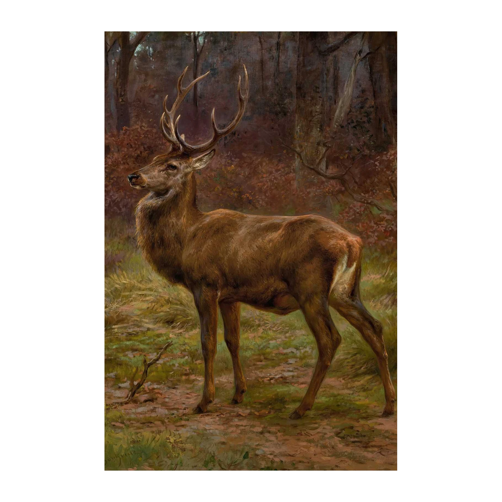 Majestic Stag Forest Scene Wall Art