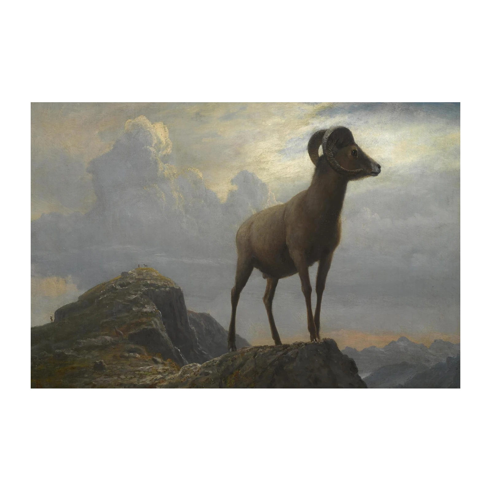 Majestic Bighorn Sheep Mountain View Wall Art