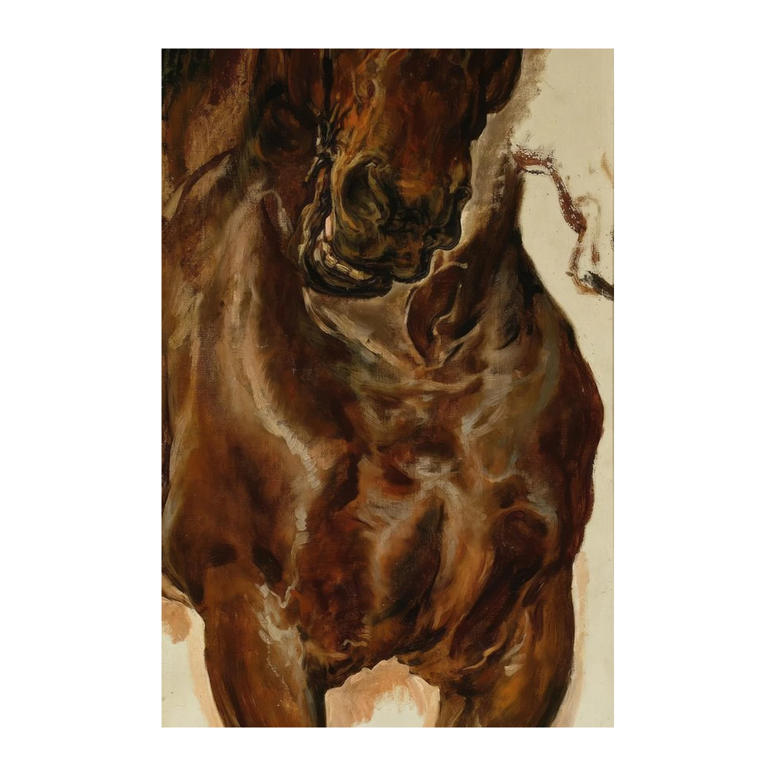 Majestic Horse Portrait Wall Art
