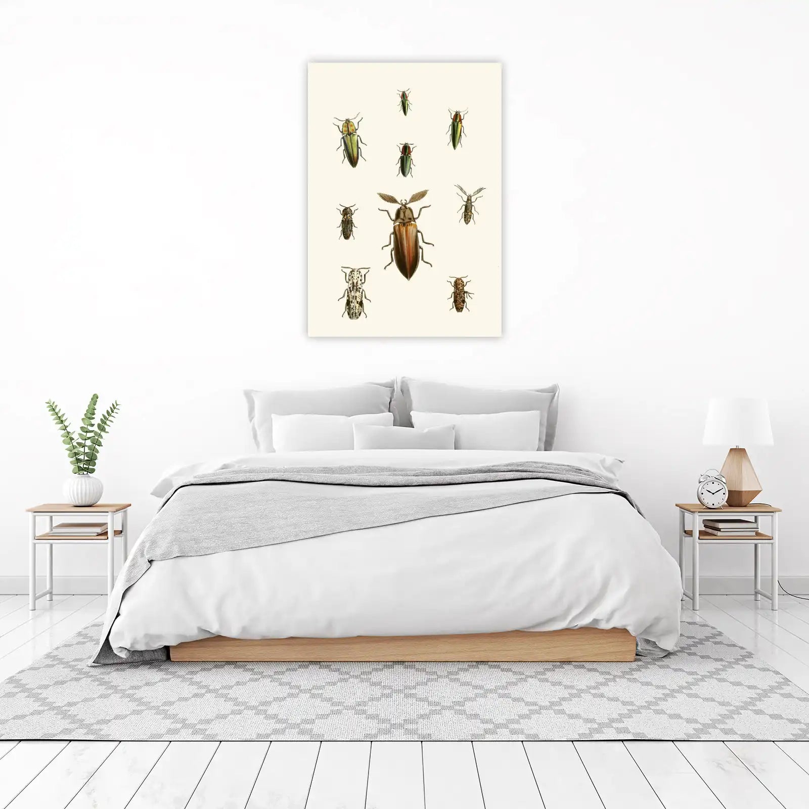 Victorian Beetle Collection Wall Art