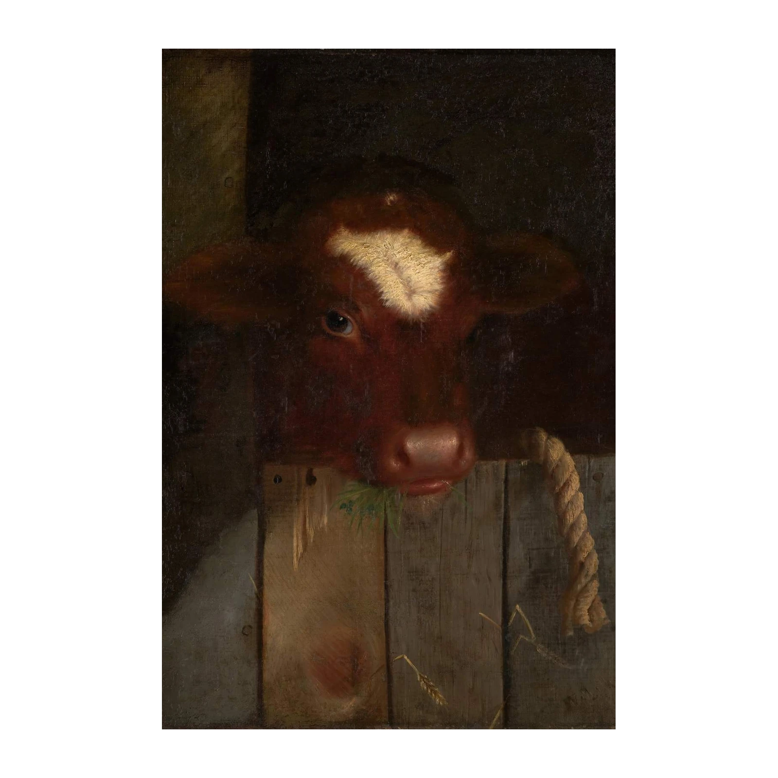 Rustic Farmhouse Cow Wall Art