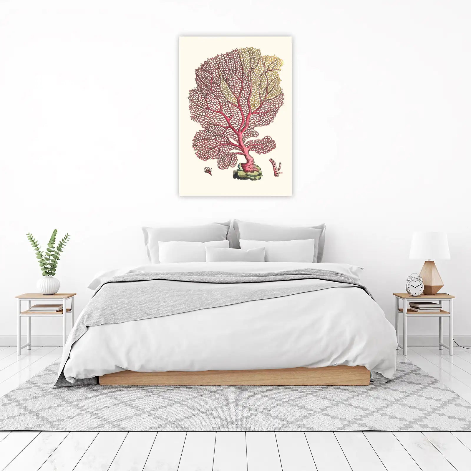 Vintage Red Fan Coral Botanical Art Wall Art