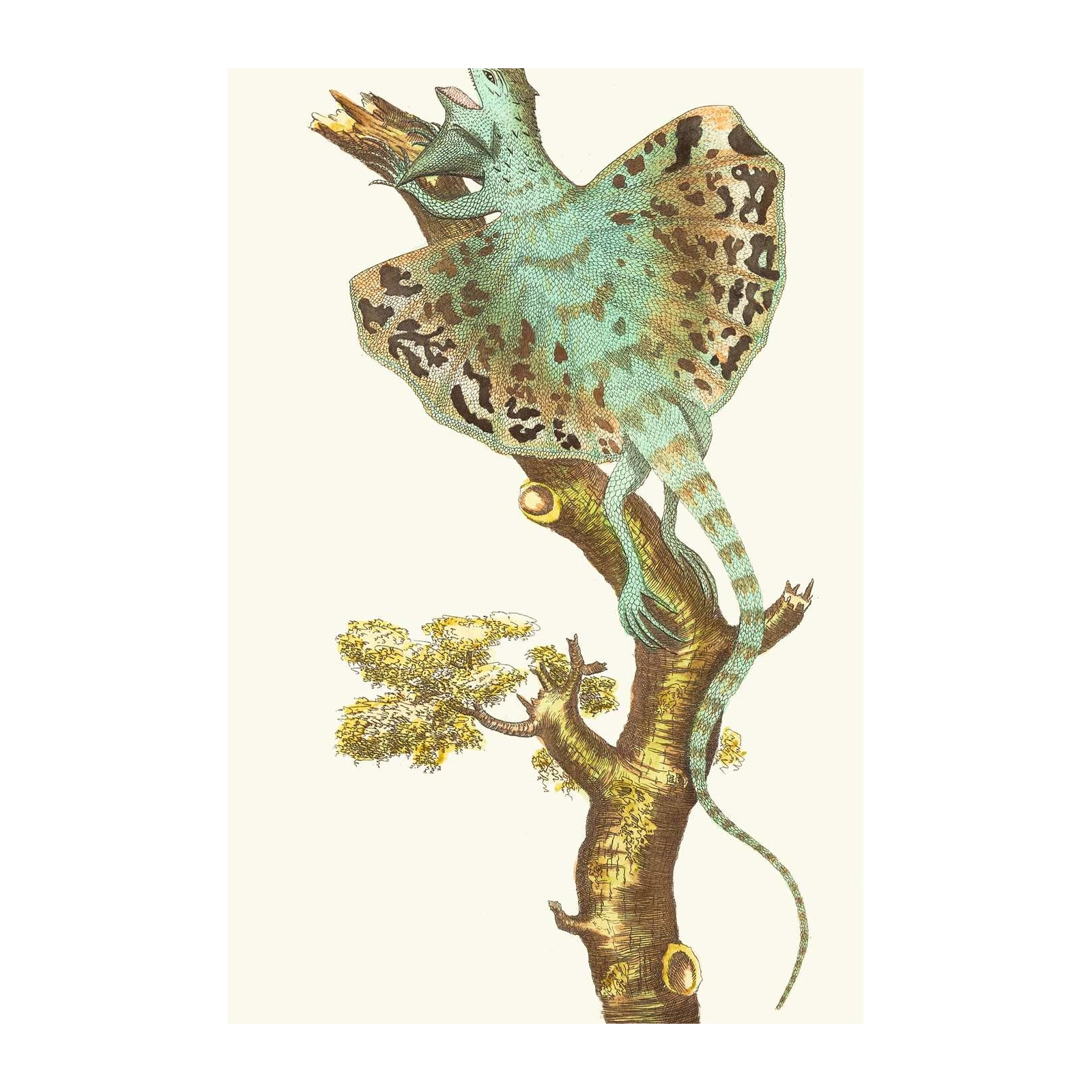 Vintage Frilled Lizard Nature Art Wall Art