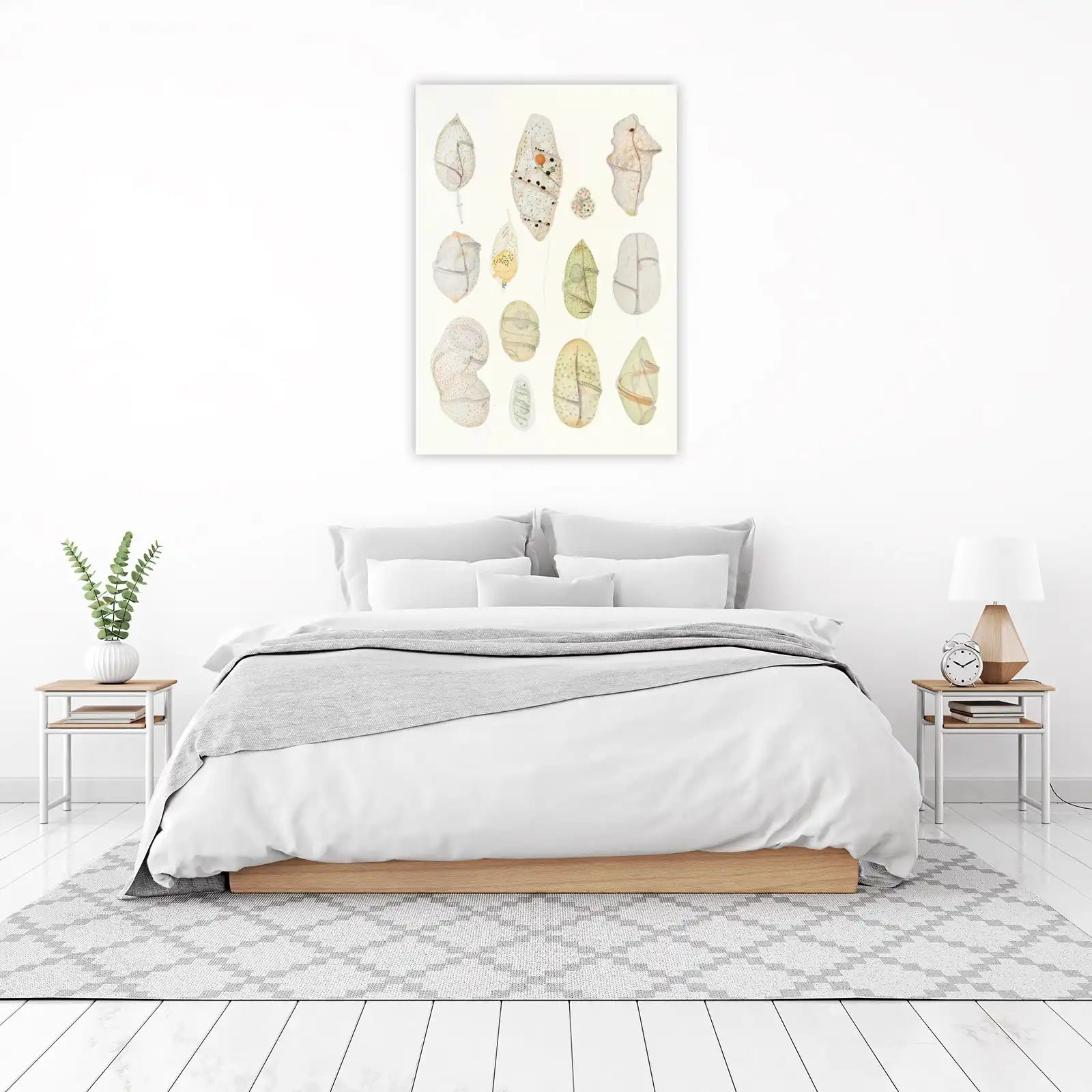 Vintage Microscopic Organisms Wall Art