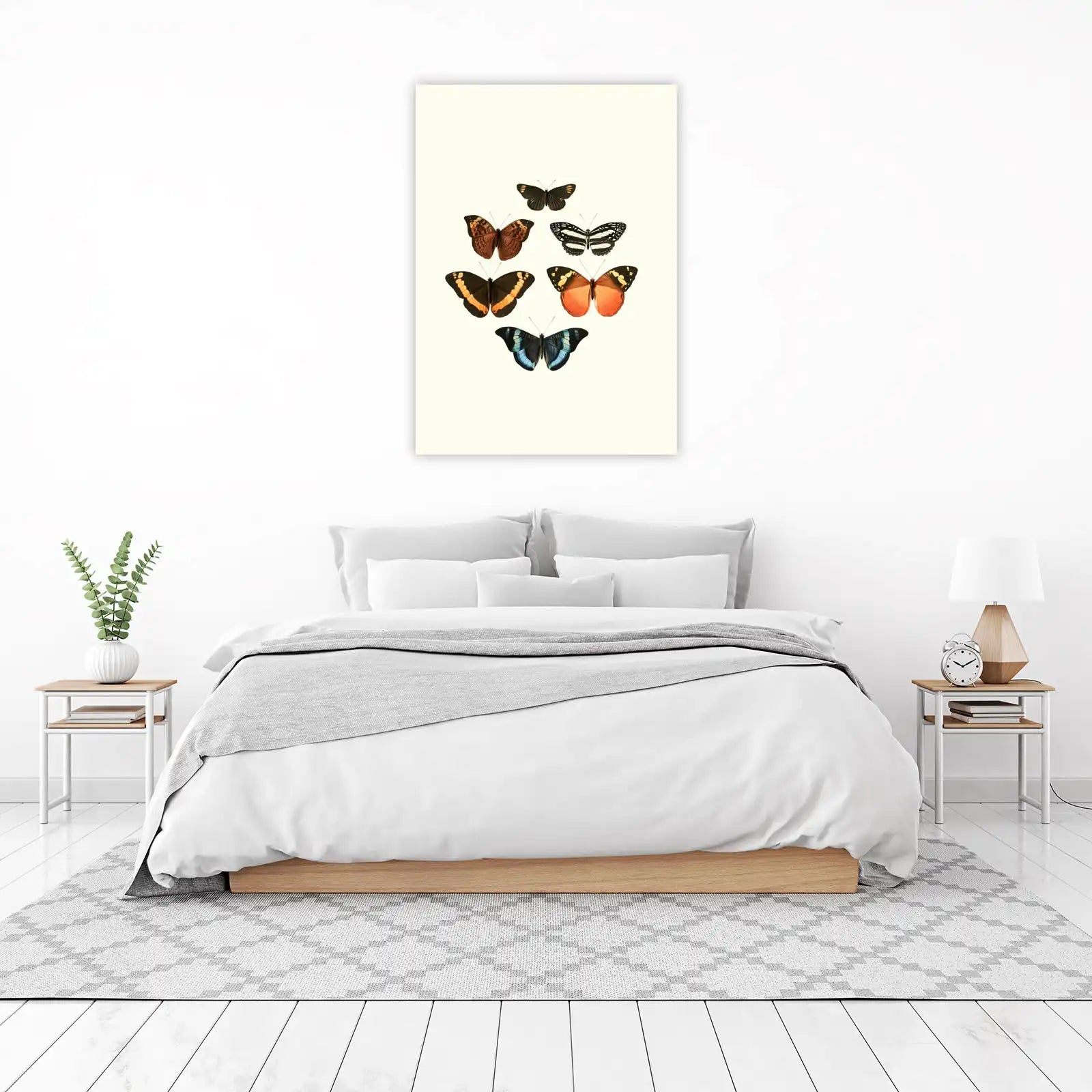 Vintage Butterfly Collection Wall Art