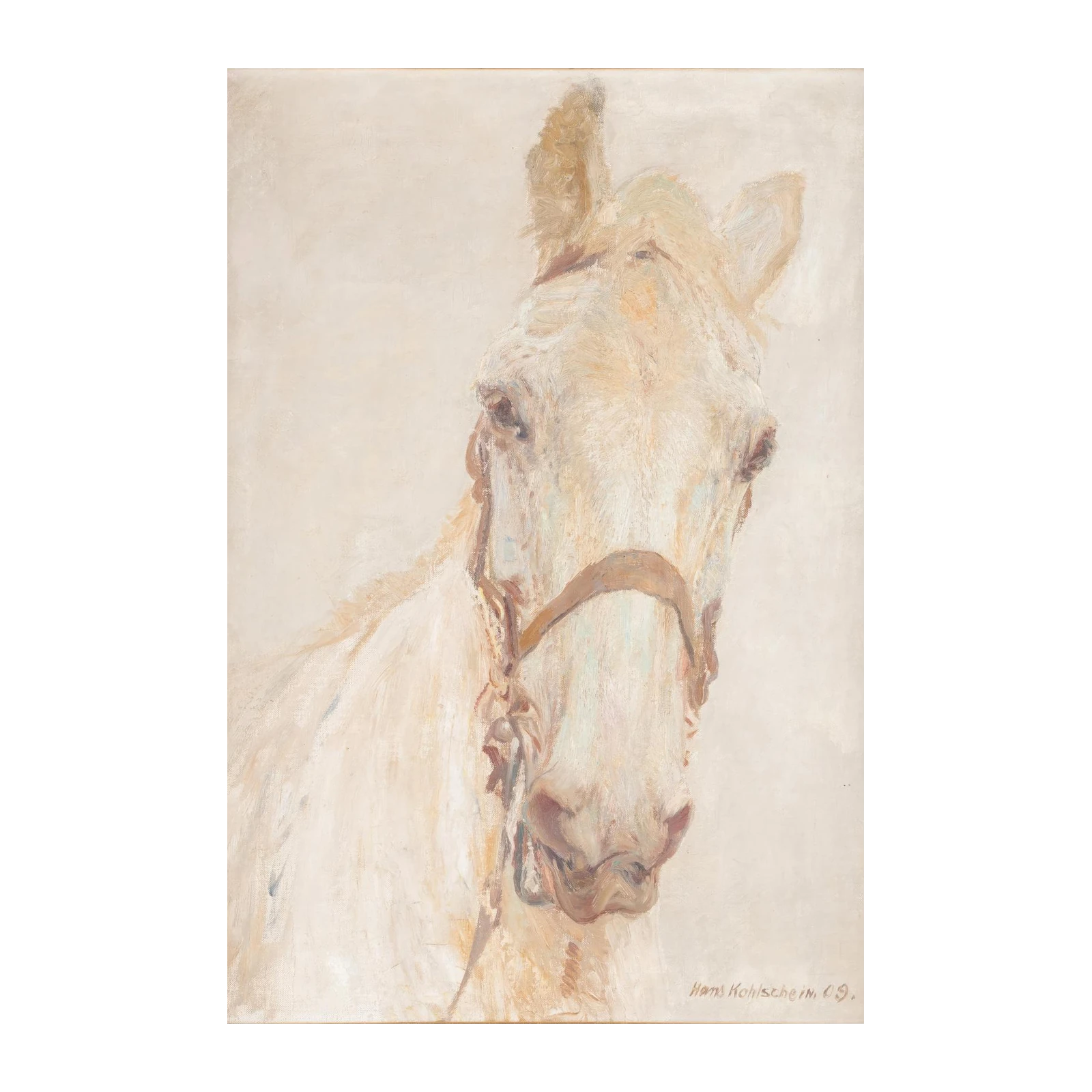 Serene White Horse Portrait Wall Art
