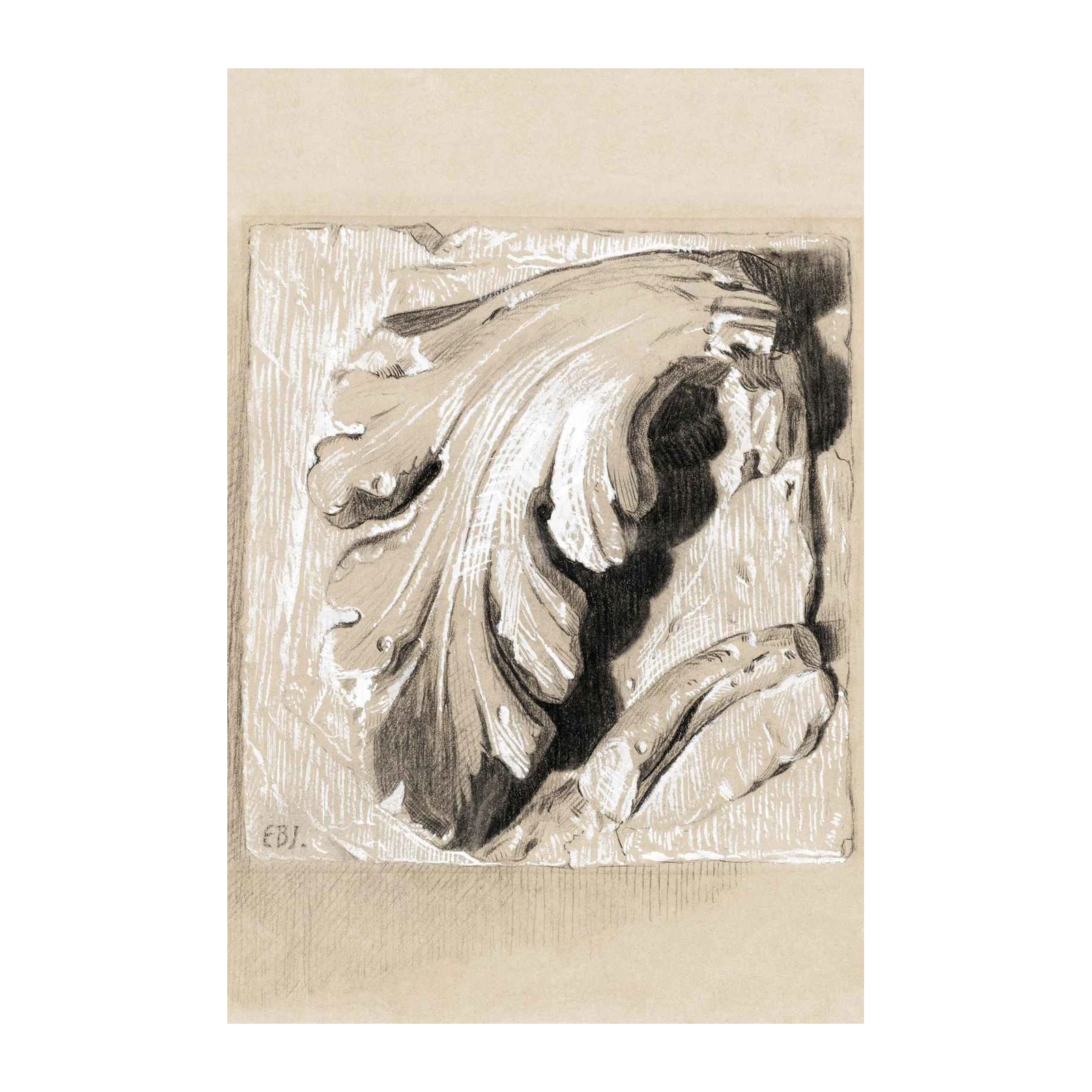 Classical Acanthus Leaf Sketch Wall Art