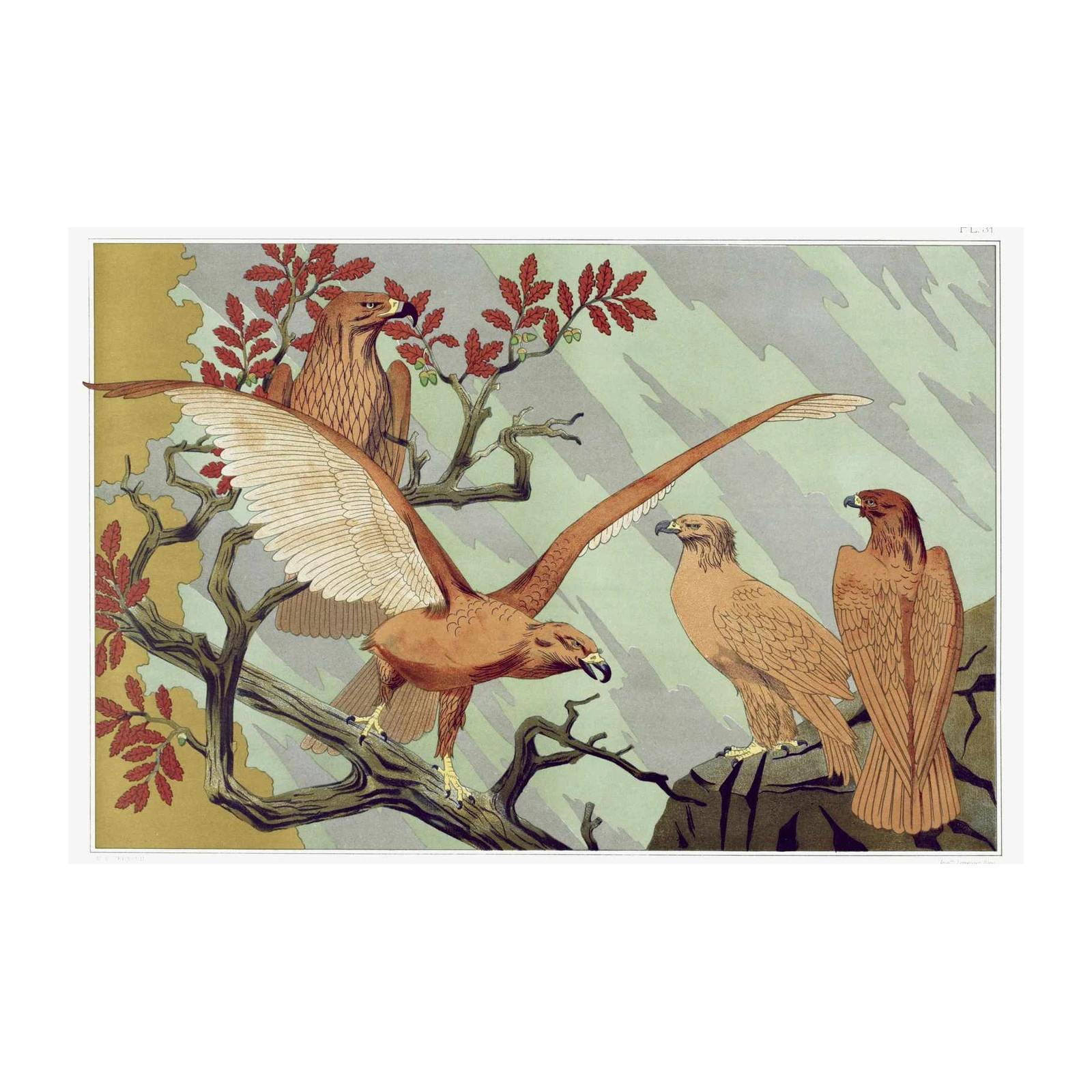 Majestic Eagles Art Print | Vintage Wildlife Wall Art