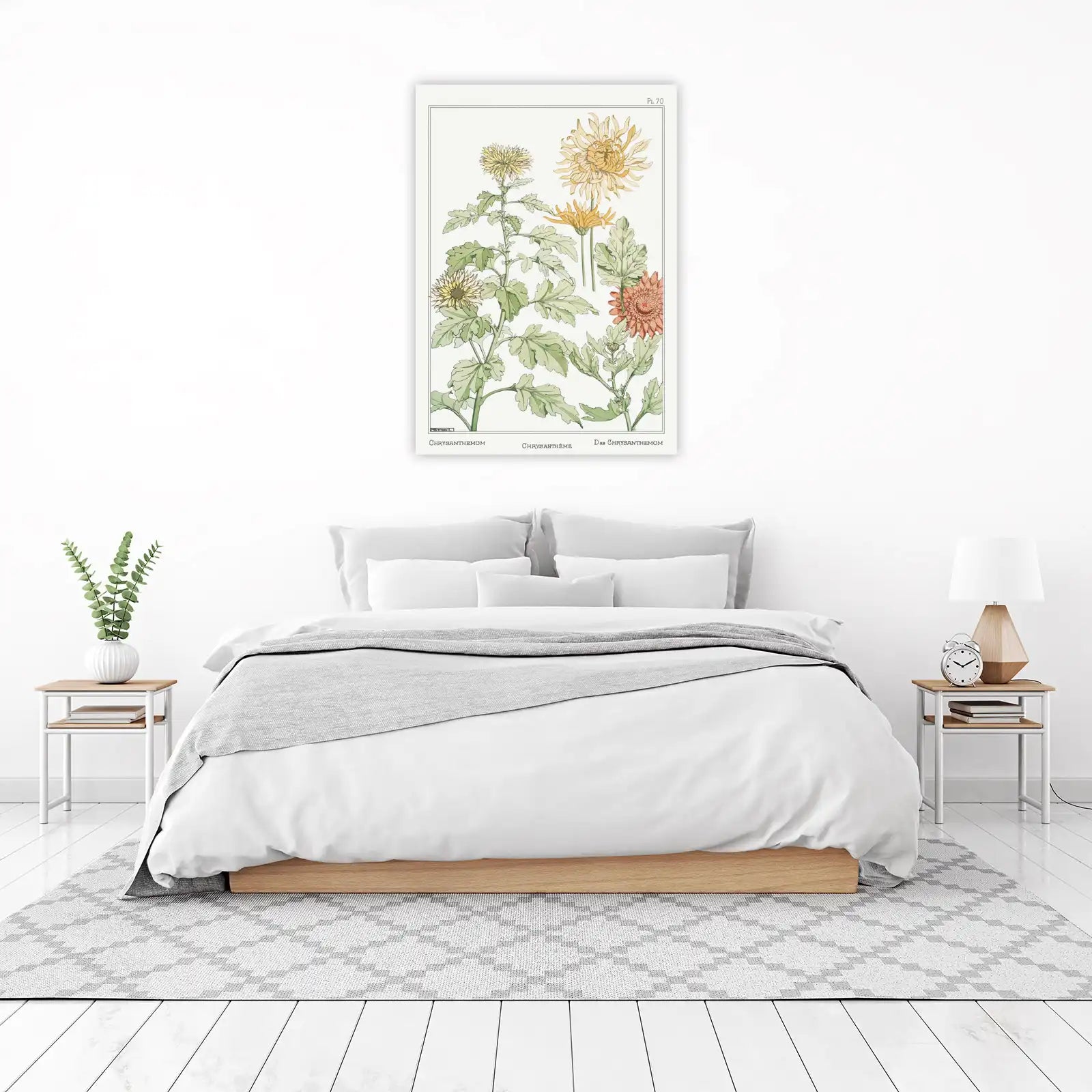 Vintage Chrysanthemum Botanical Art Wall Art