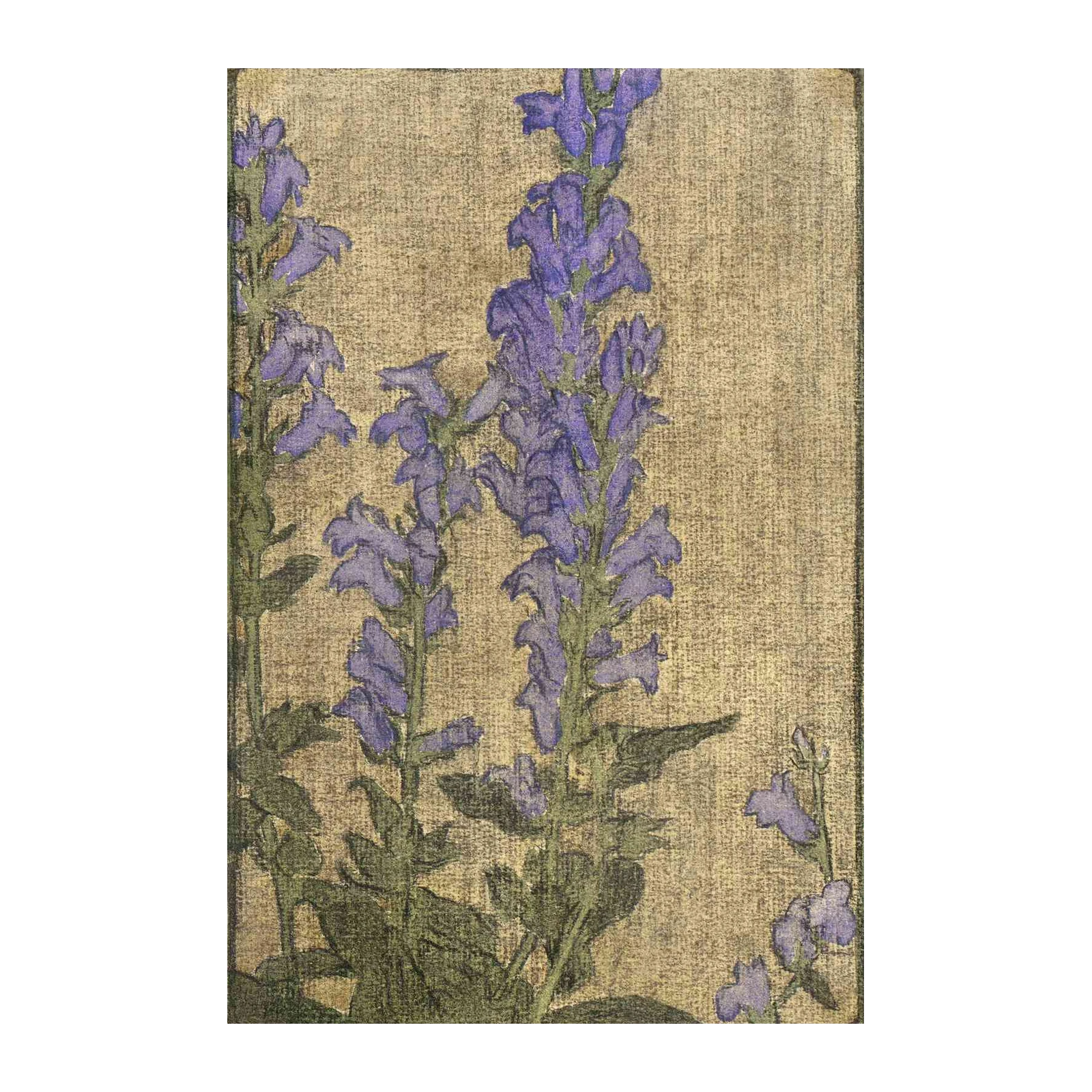 Purple Bell Flowers Vintage Botanical Wall Art