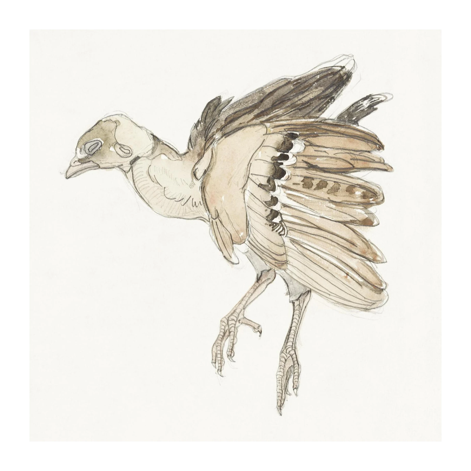 Graceful Bird Watercolor Art Wall Art