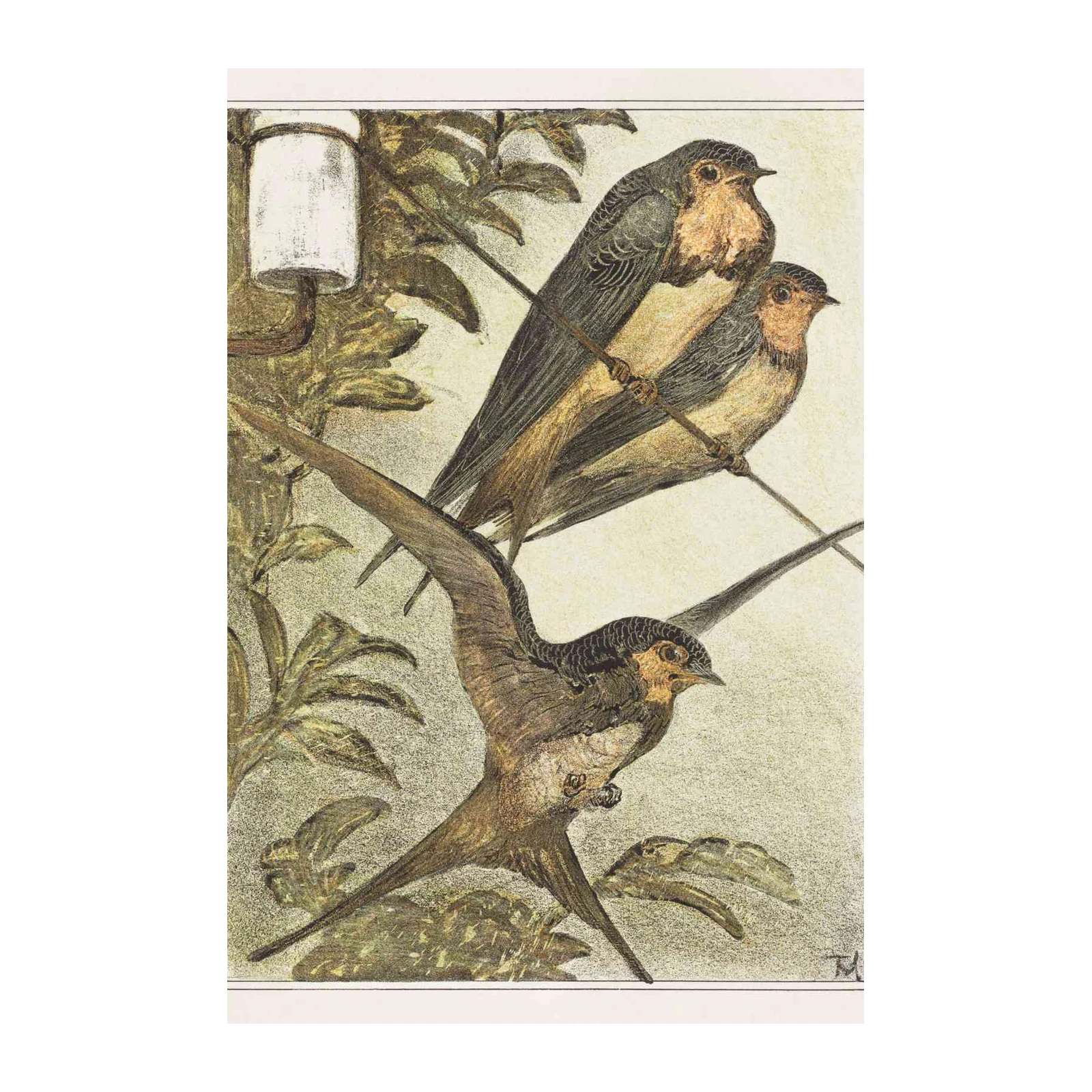 Swallow Serenade Vintage Bird Art Wall Art