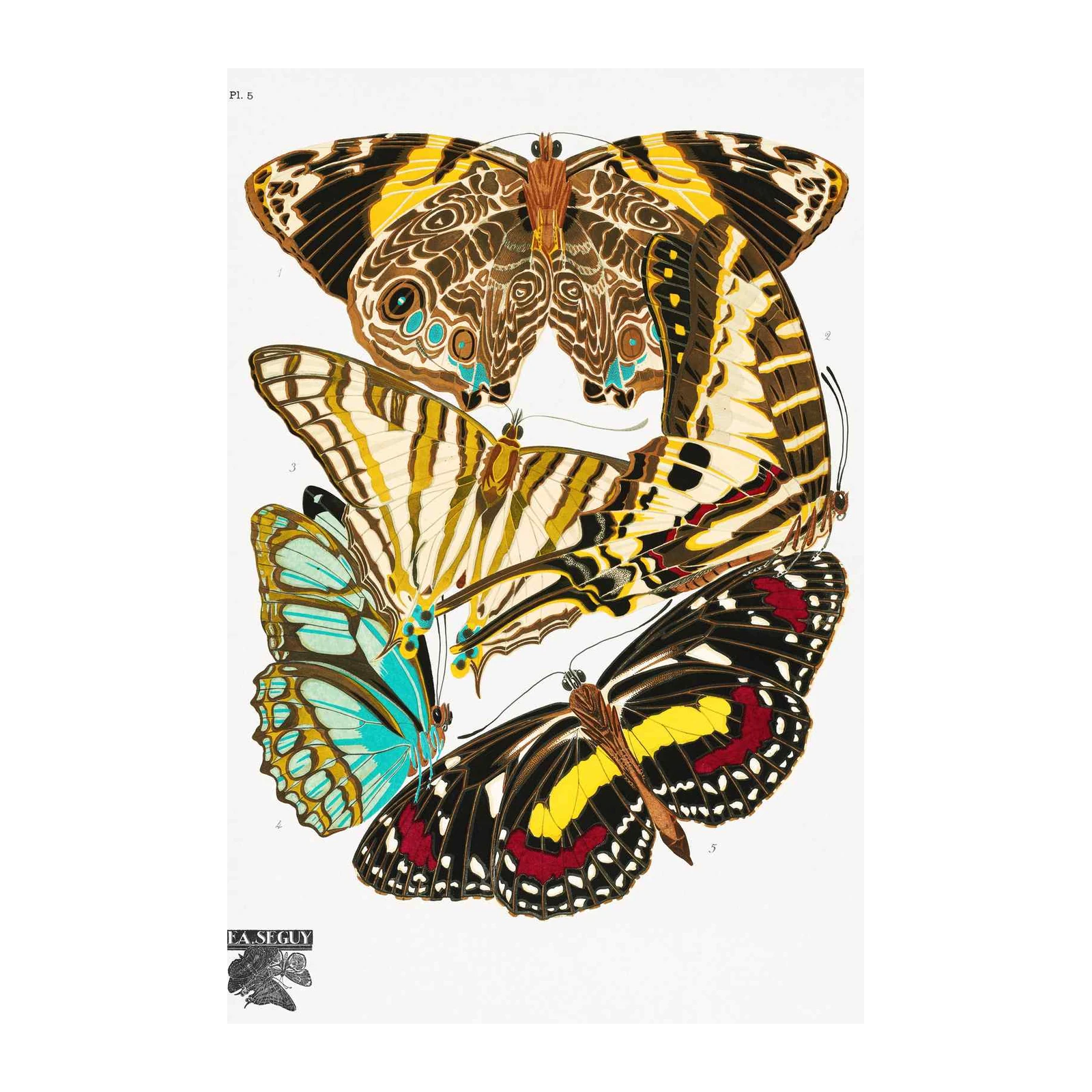 Vintage Butterfly Art Wall Art