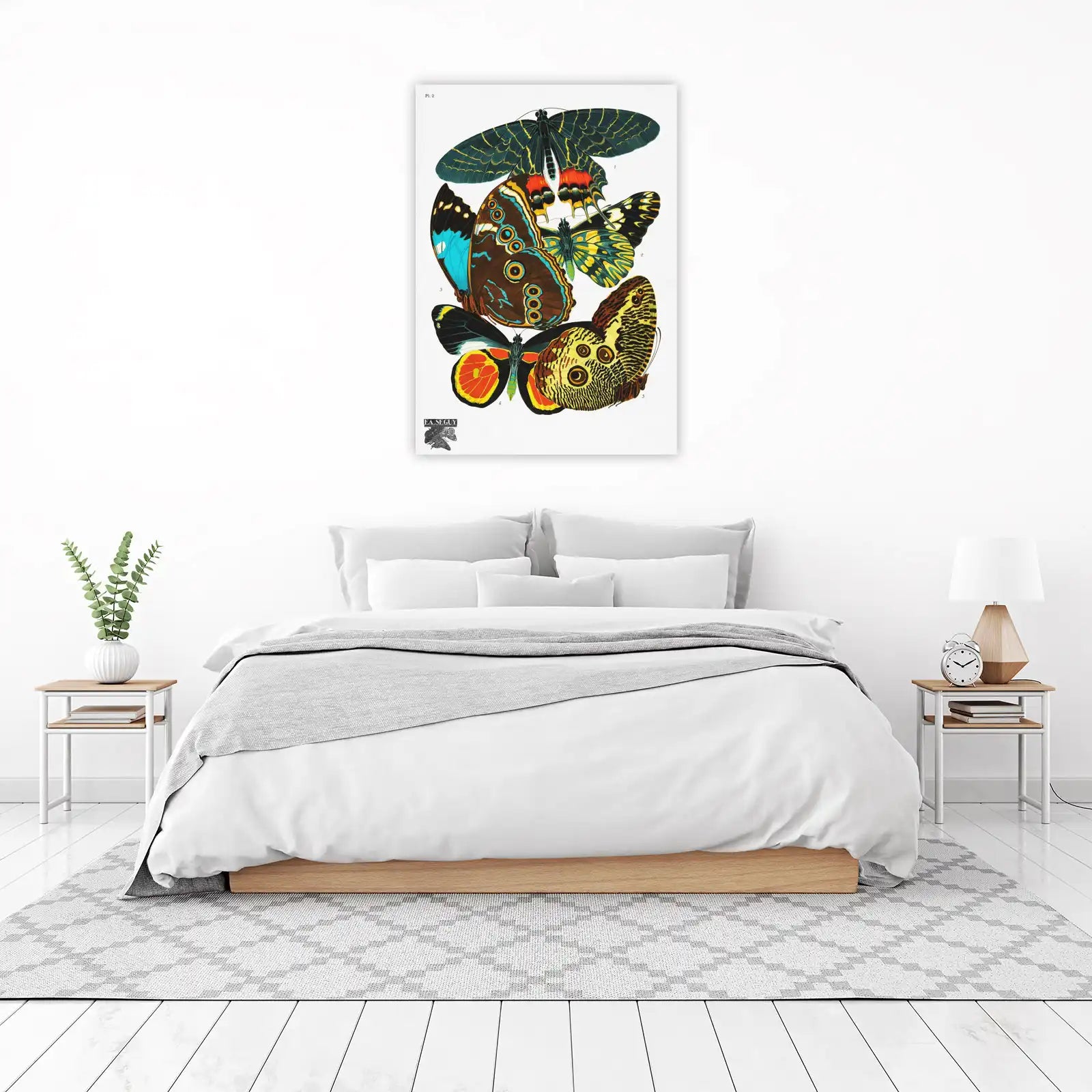Vintage Butterfly Collection Wall Art