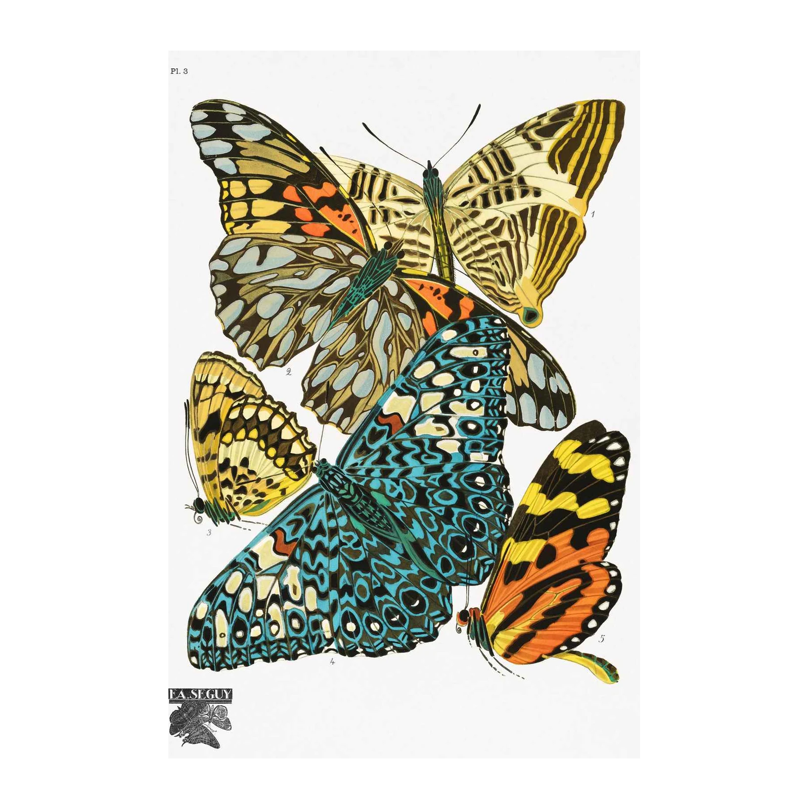 Vintage Butterfly Art Wall Art