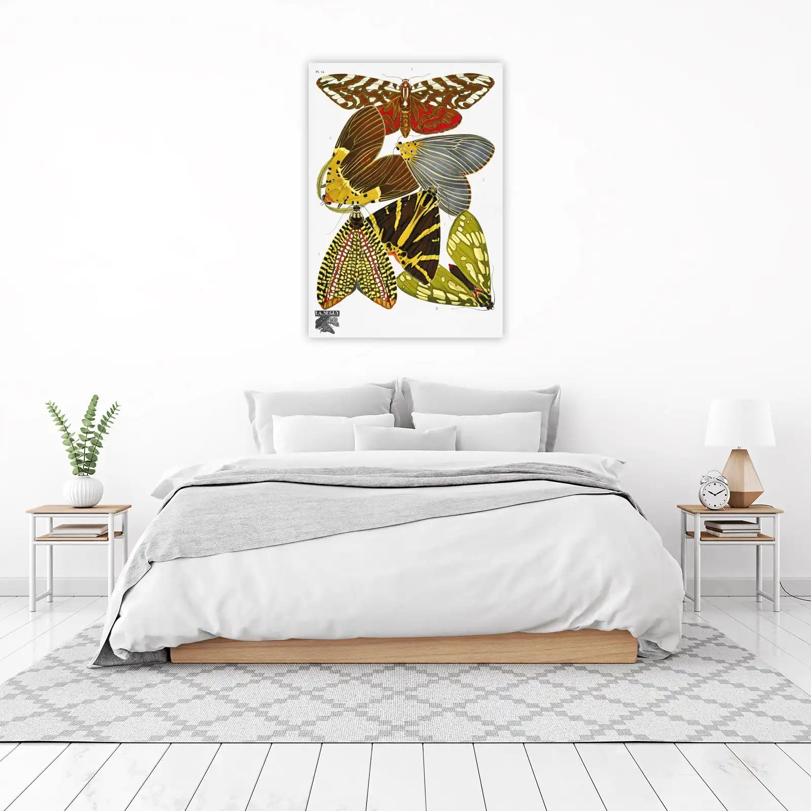 Vintage Butterfly Collection Poster Wall Art