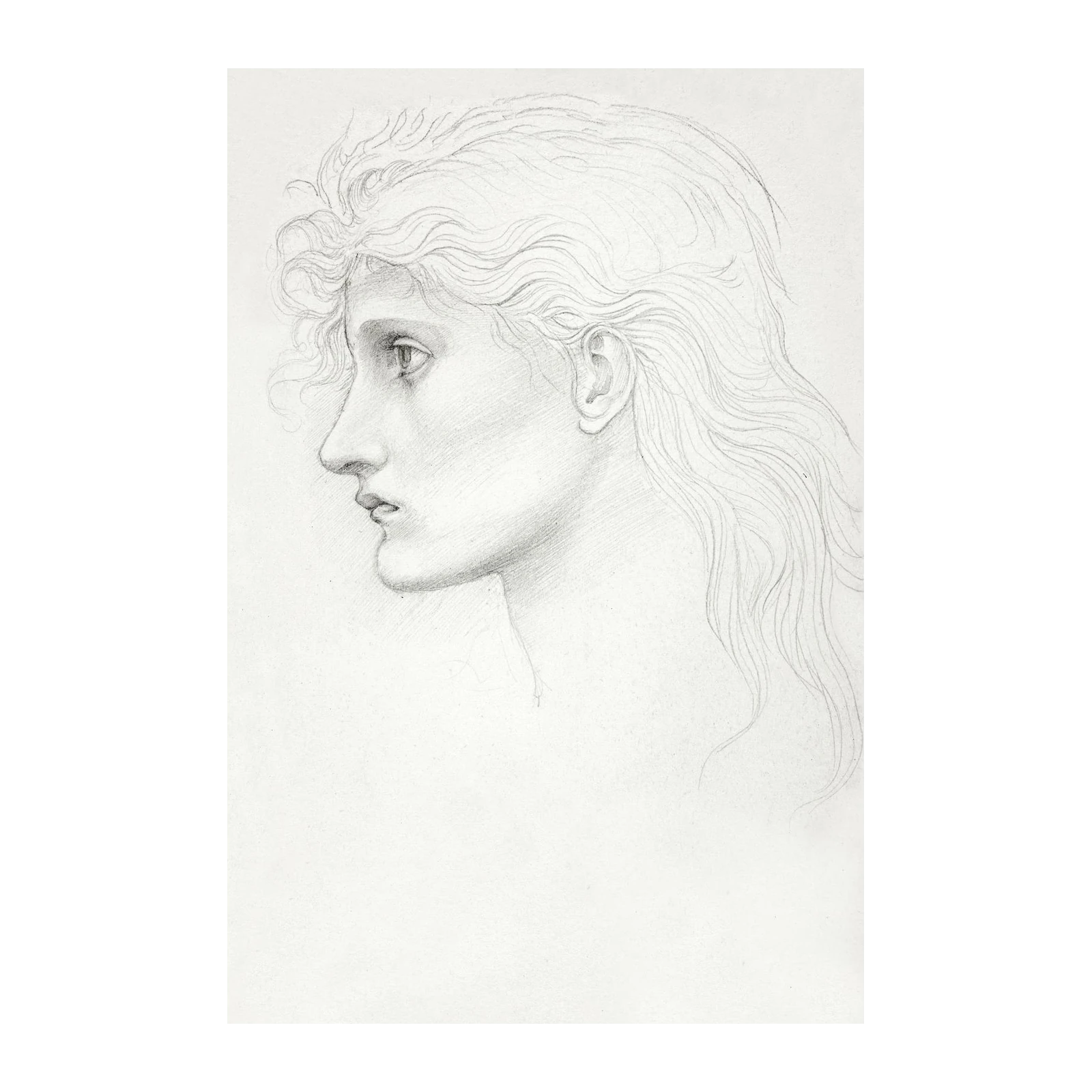 Enigmatic Profile Pencil Sketch Wall Art