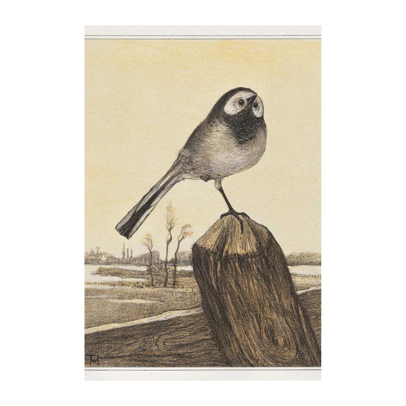 Wagtail Perched on Post Wall Art