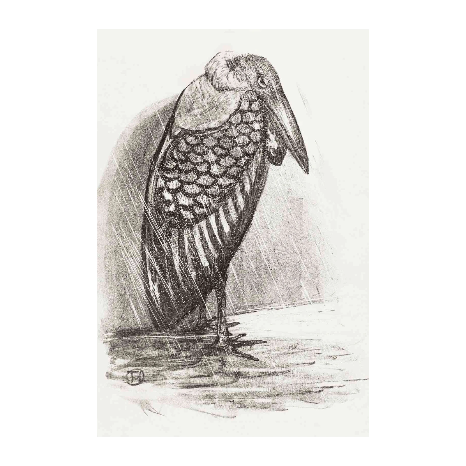 Melancholy Bird in Rain Sketch Wall Art
