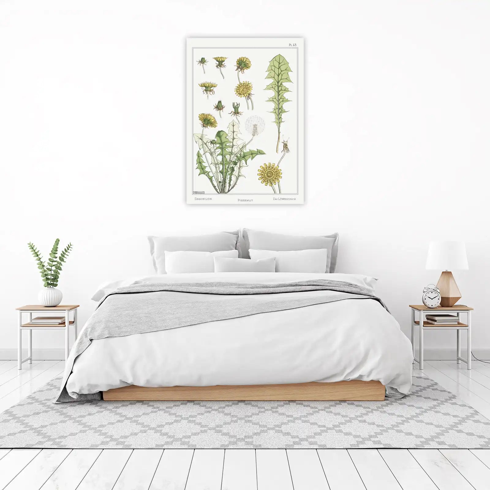Vintage Dandelion Botanical Art Wall Art