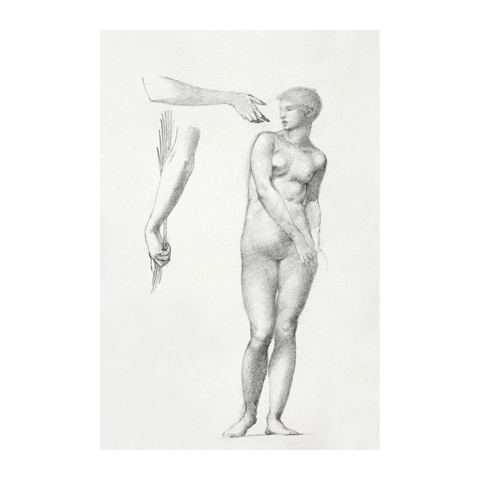 Classical Figure Study Pencil Art Wall Art