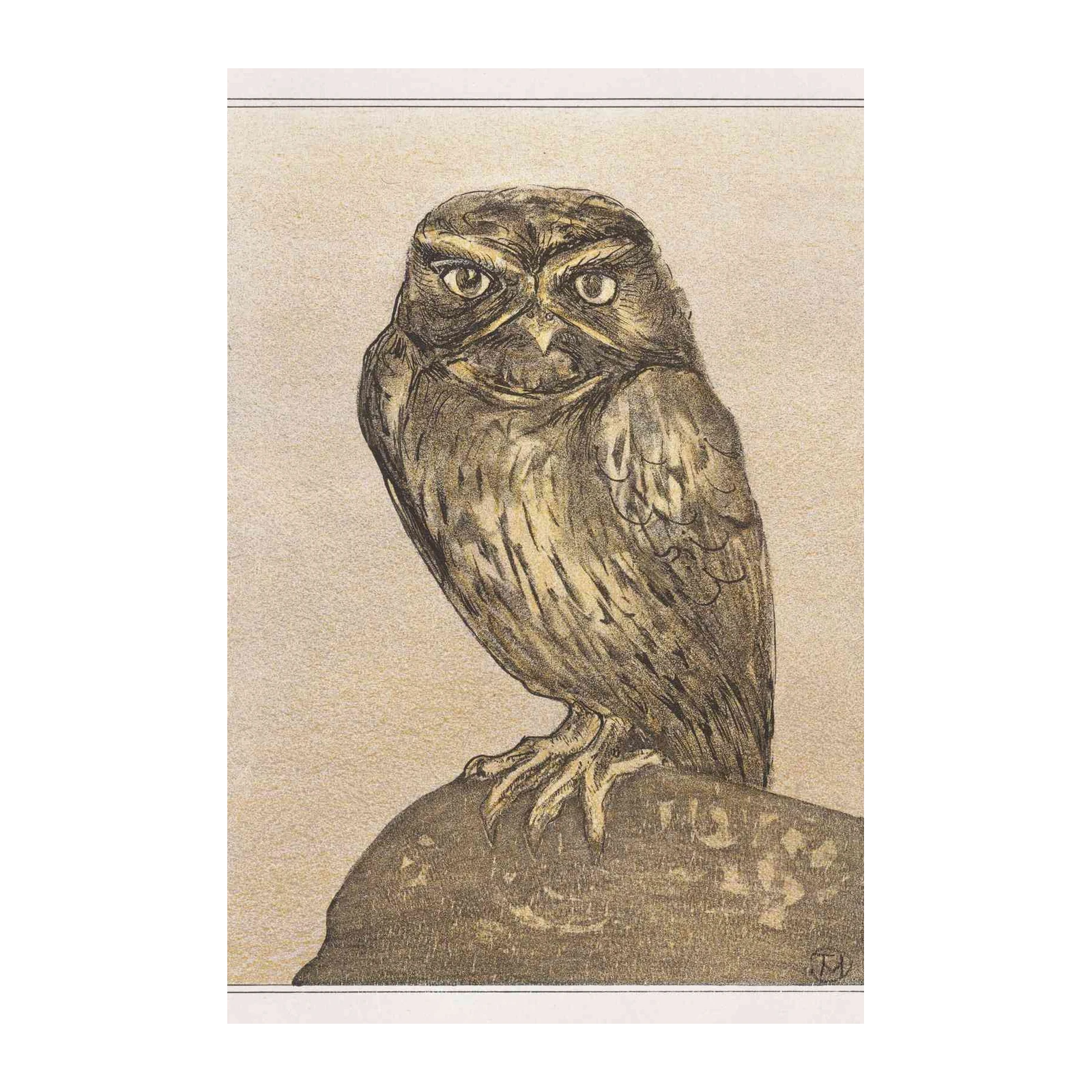 Wise Owl Vintage Art Wall Art