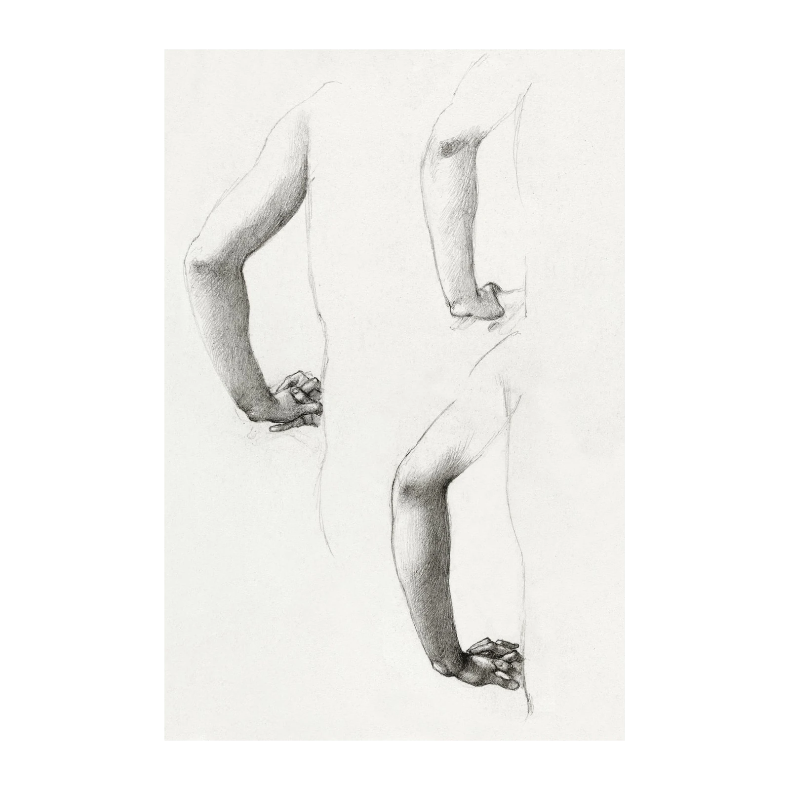 Figurative Arm Study Pencil Sketch Wall Art