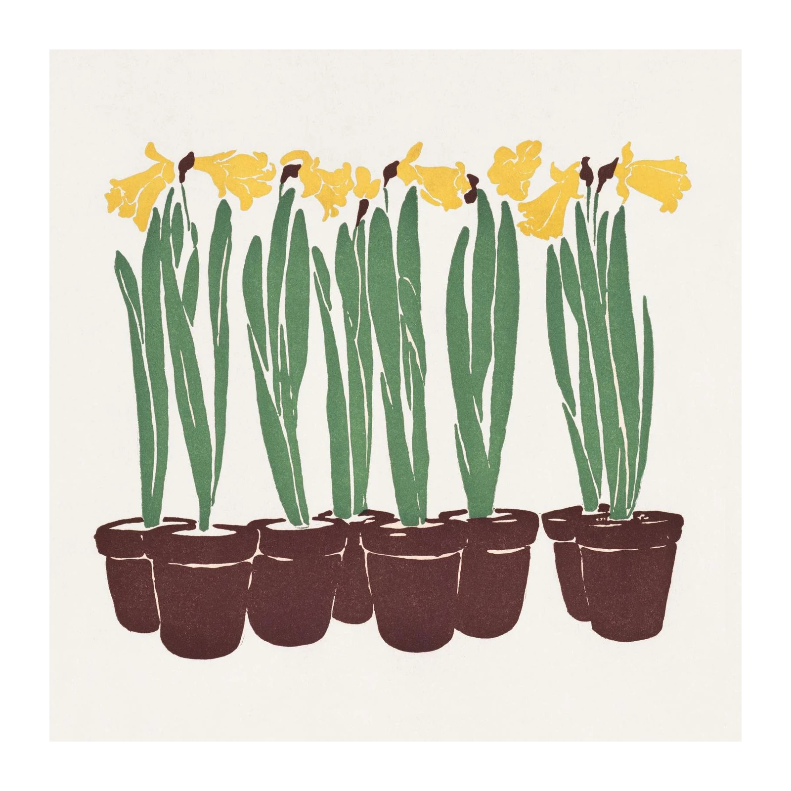 Vibrant Daffodils in Pots Wall Art
