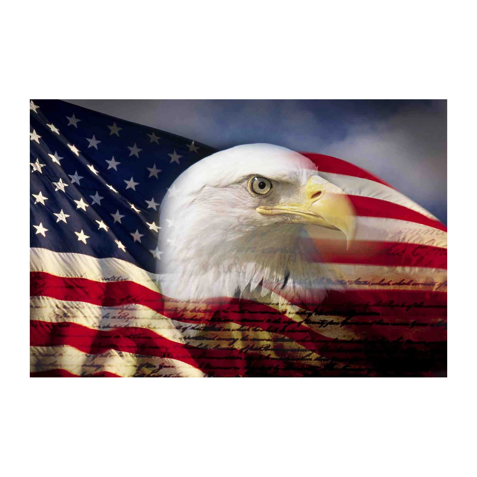 Patriotic Eagle USA Flag Wall Art