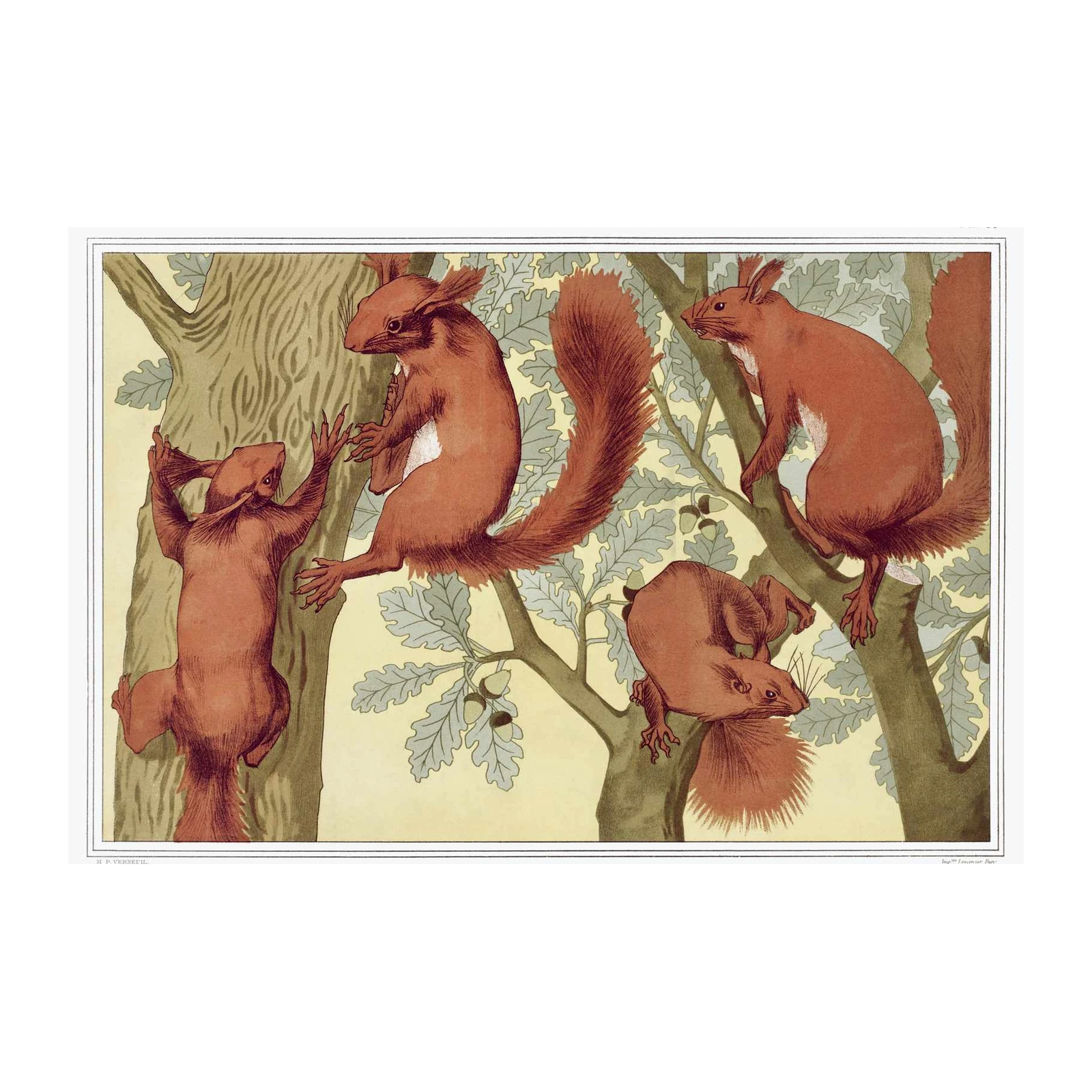 Art Nouveau Squirrel Forest Scene Wall Art