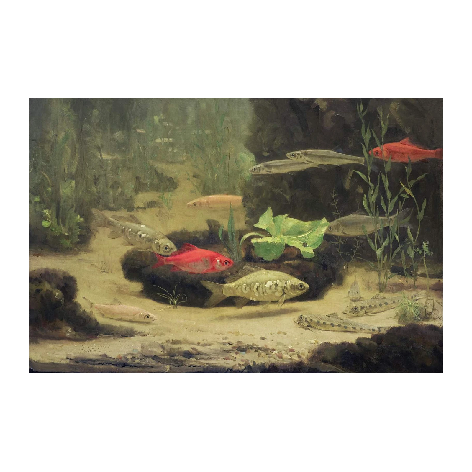 Vibrant Aquarium Life Oil Painting Wall Art