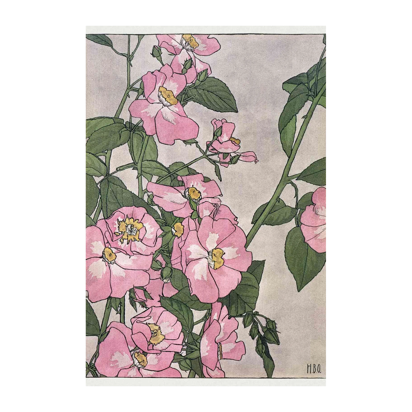Pink Roses Botanical Art Wall Art
