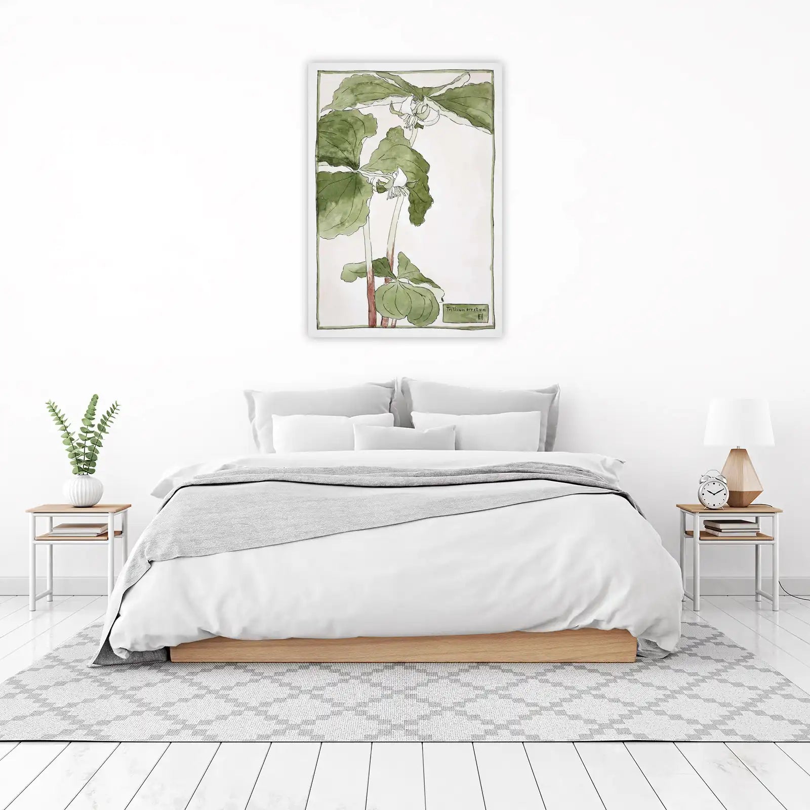 Elegant Trillium Botanical Art Wall Art