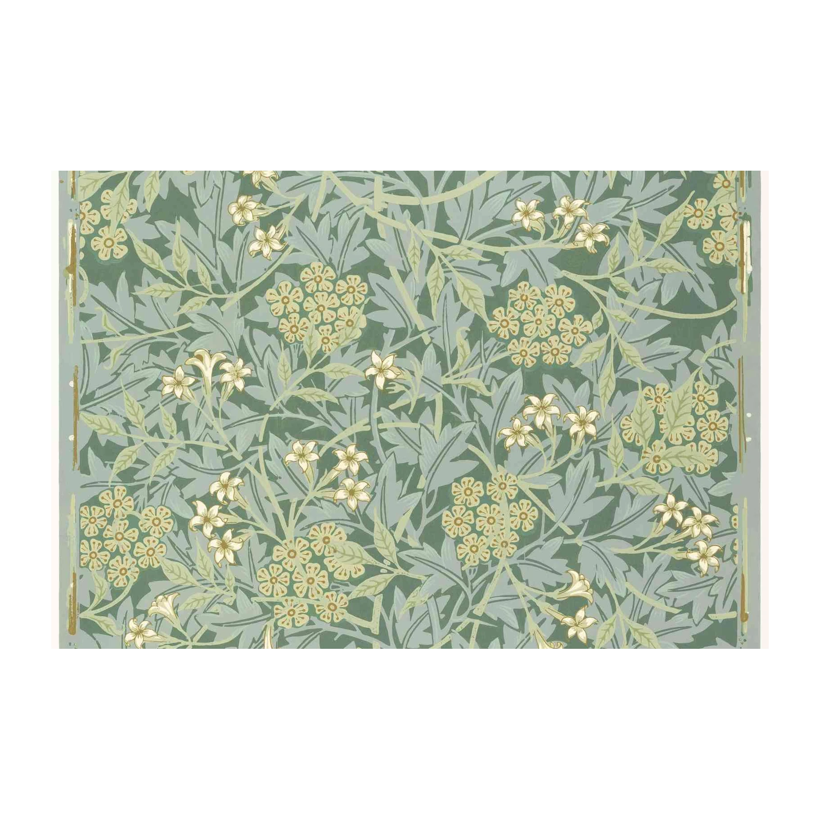 Elegant Floral Botanical Art Wall Art